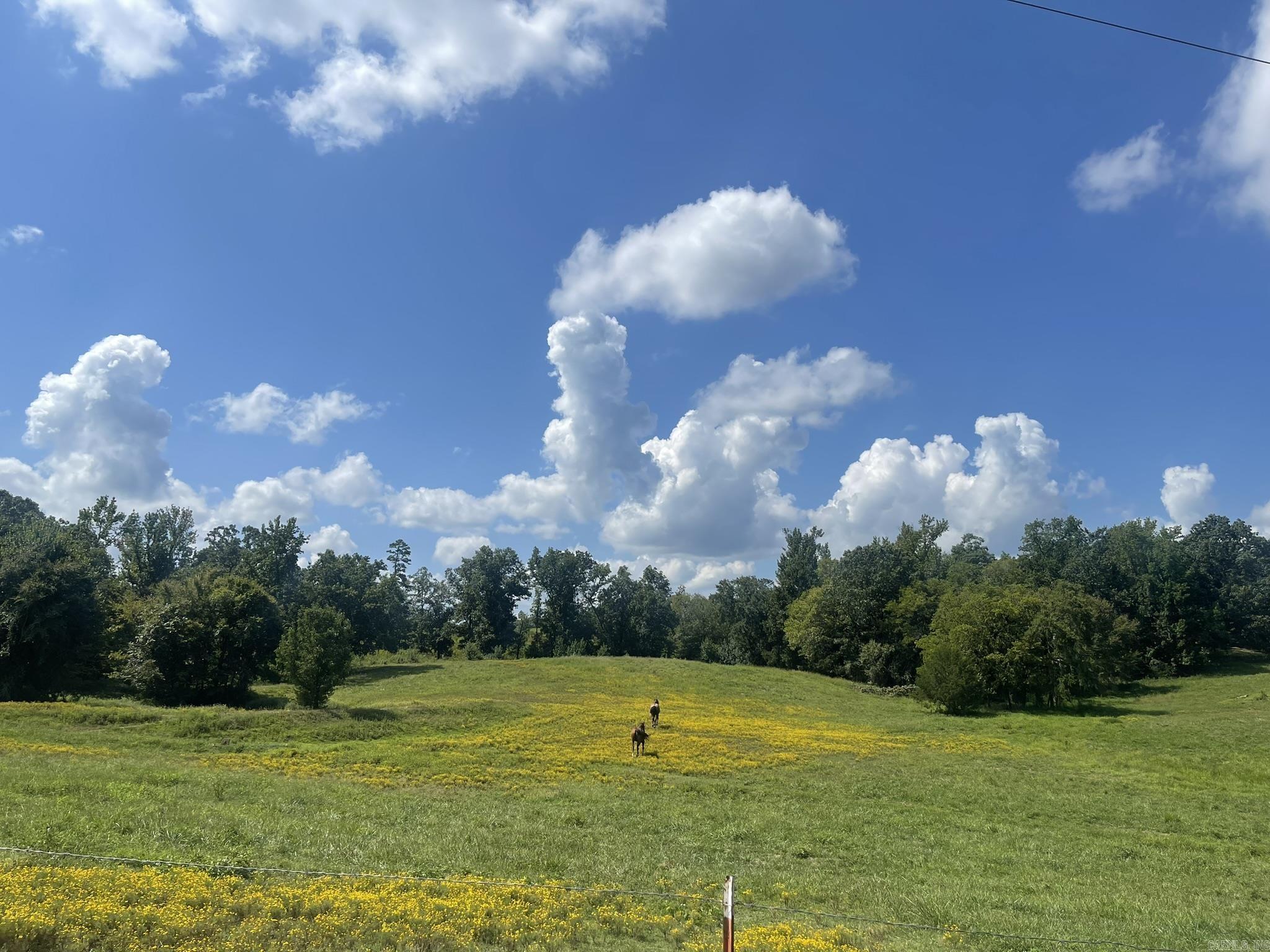 430 Polk Road 65  Mena, AR
