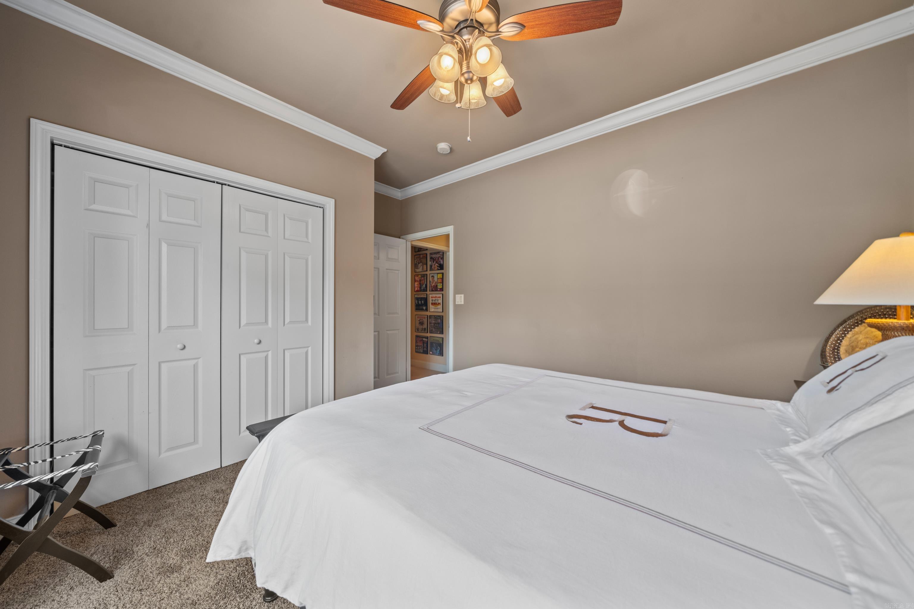 409B Halteria  Hot Springs, AR