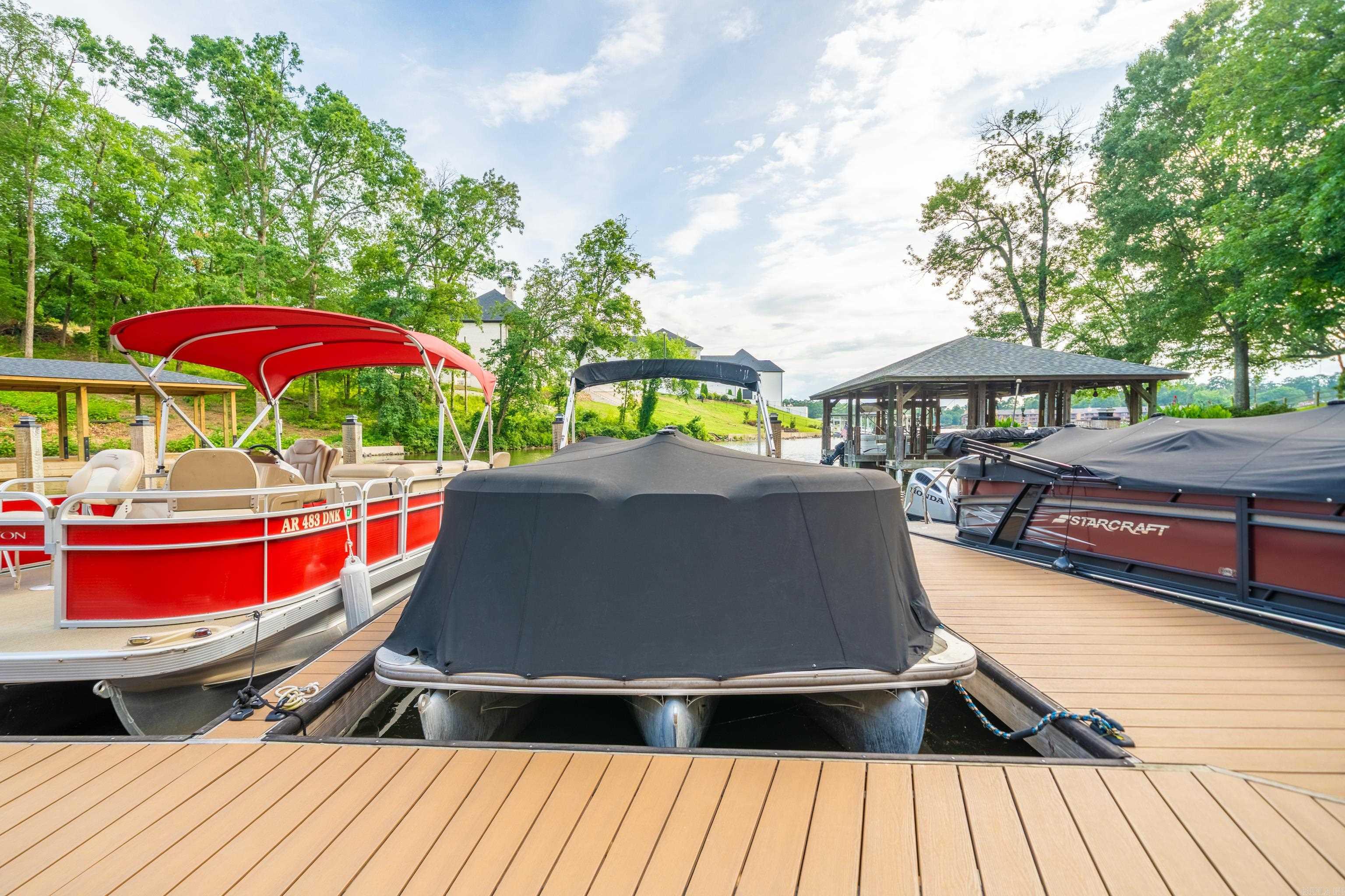 409B Halteria  Hot Springs, AR