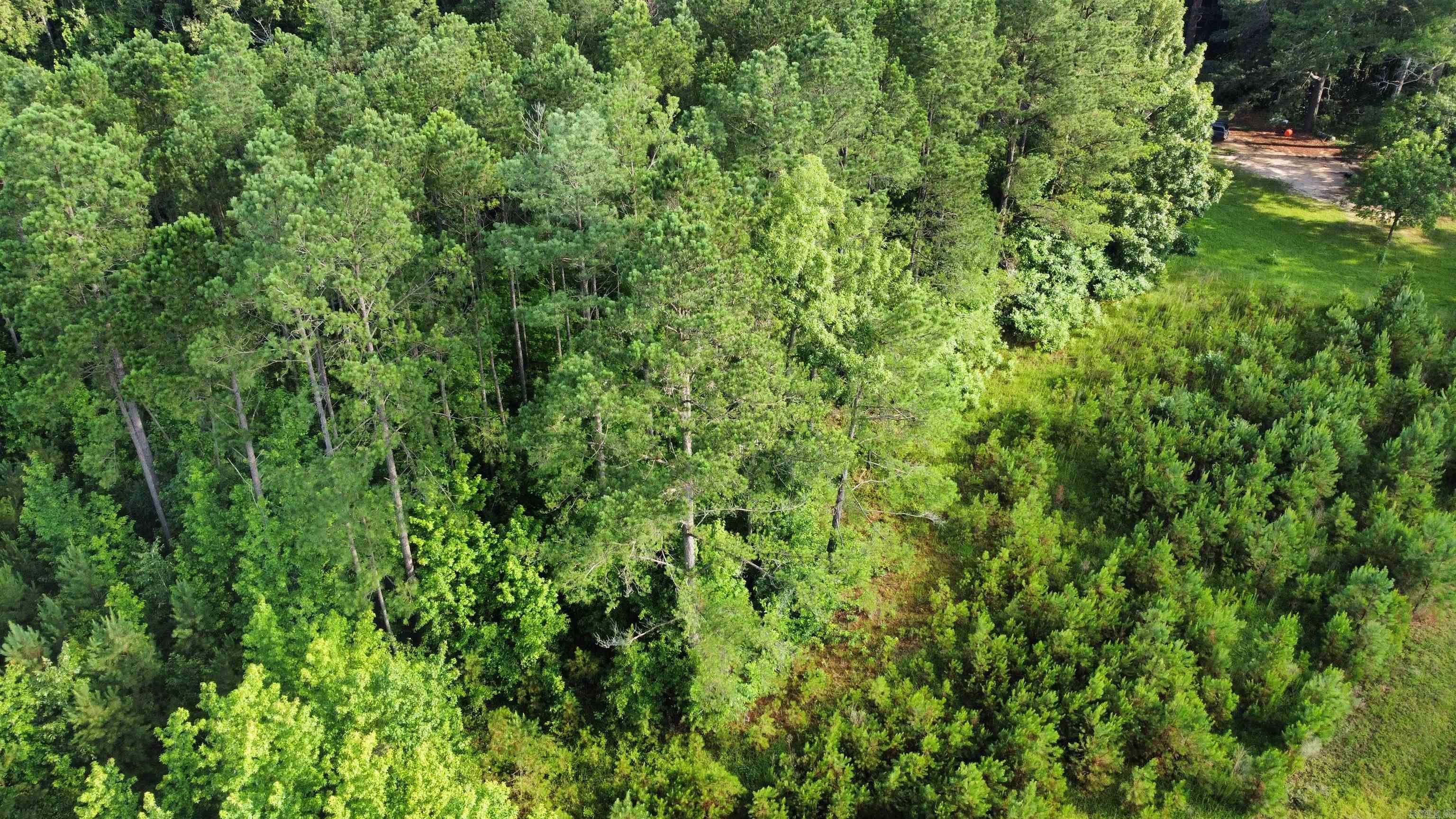 980 County Road 33  Hermitage, AR