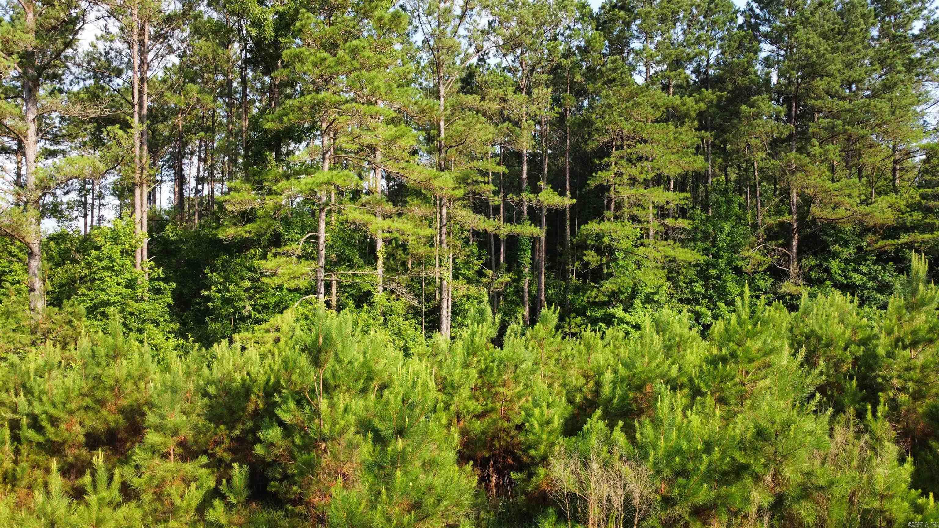980 County Road 33  Hermitage, AR