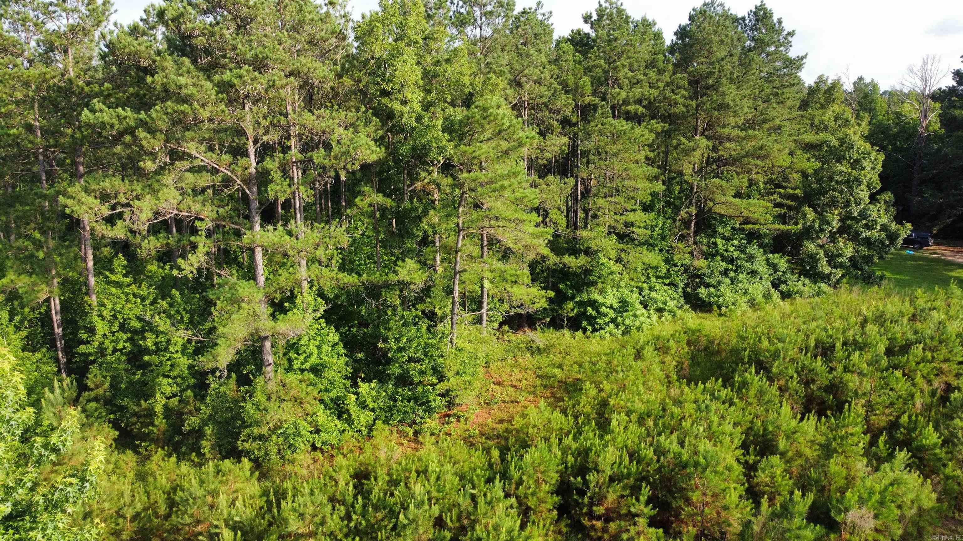 980 County Road 33  Hermitage, AR