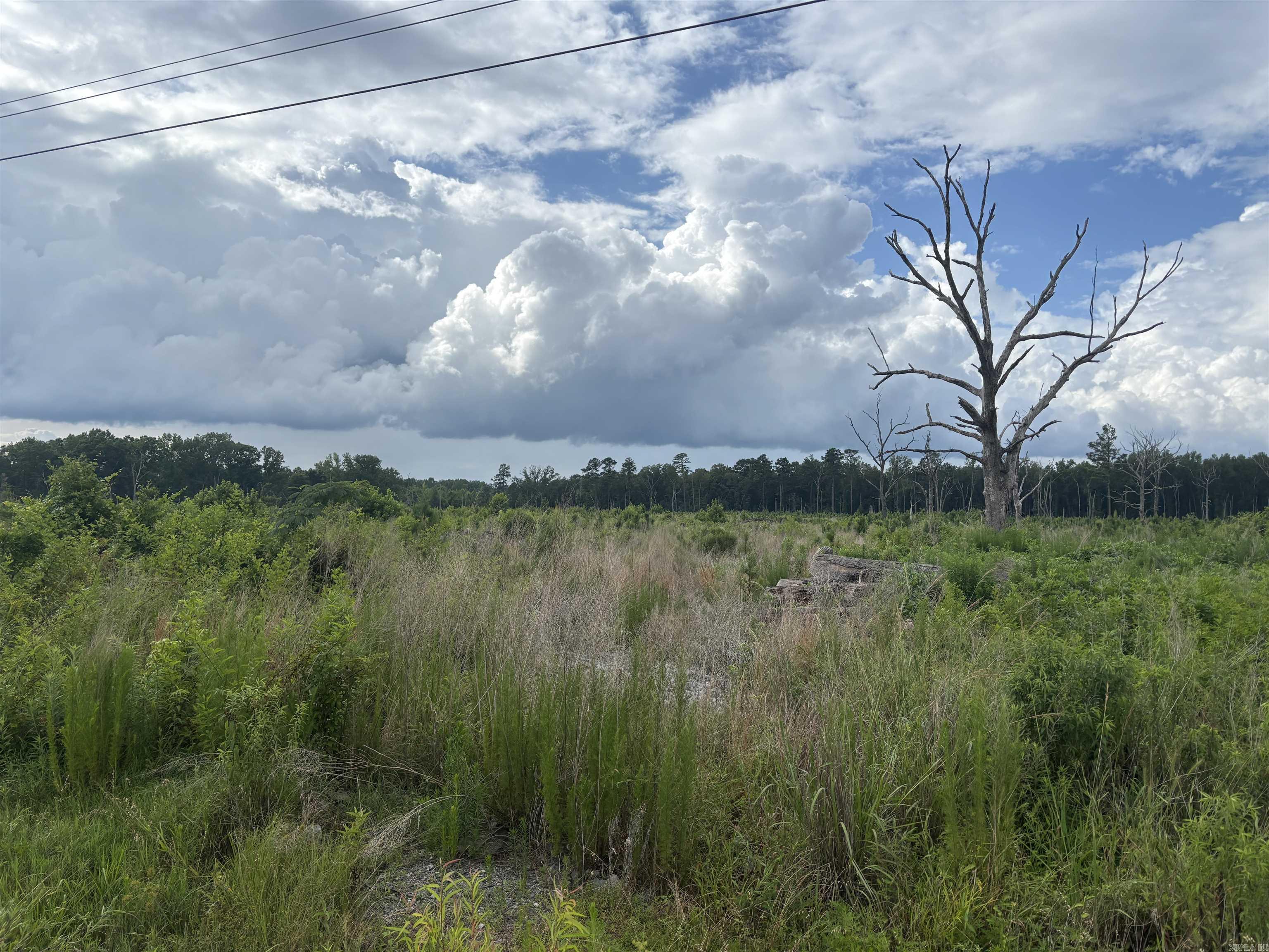  Rosswood Rd.  Pine Bluff, AR
