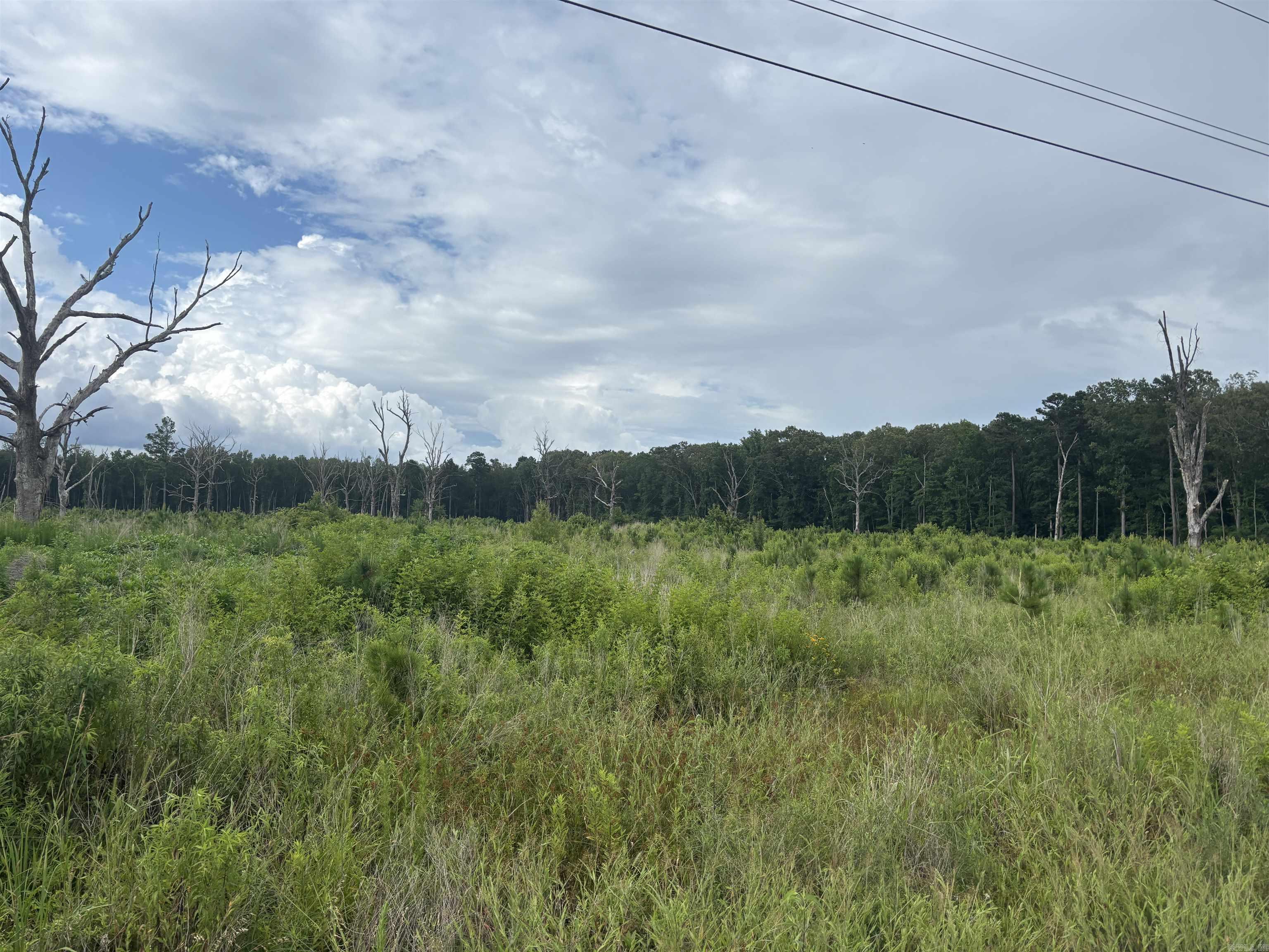  Rosswood Rd.  Pine Bluff, AR