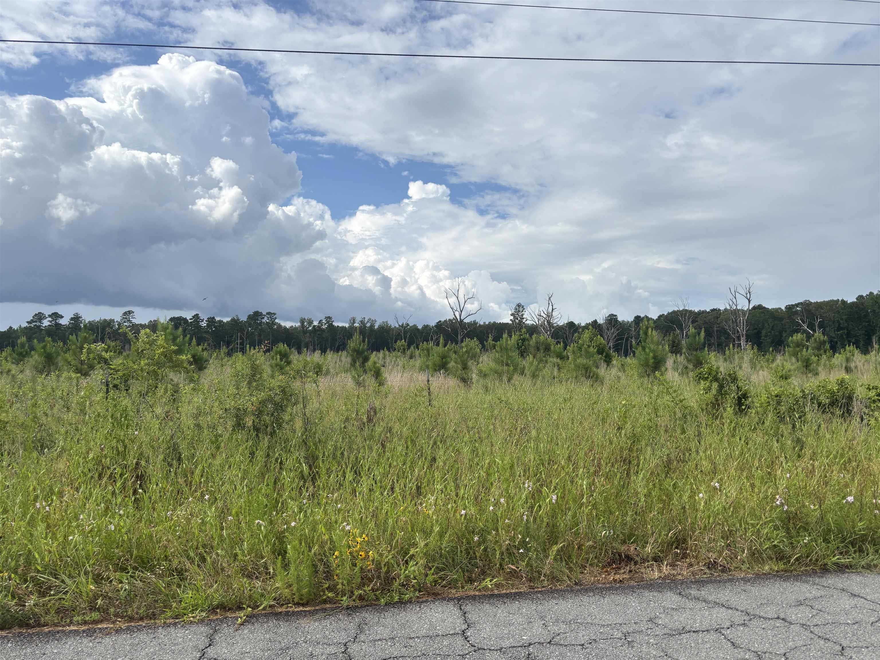  Rosswood Rd.  Pine Bluff, AR