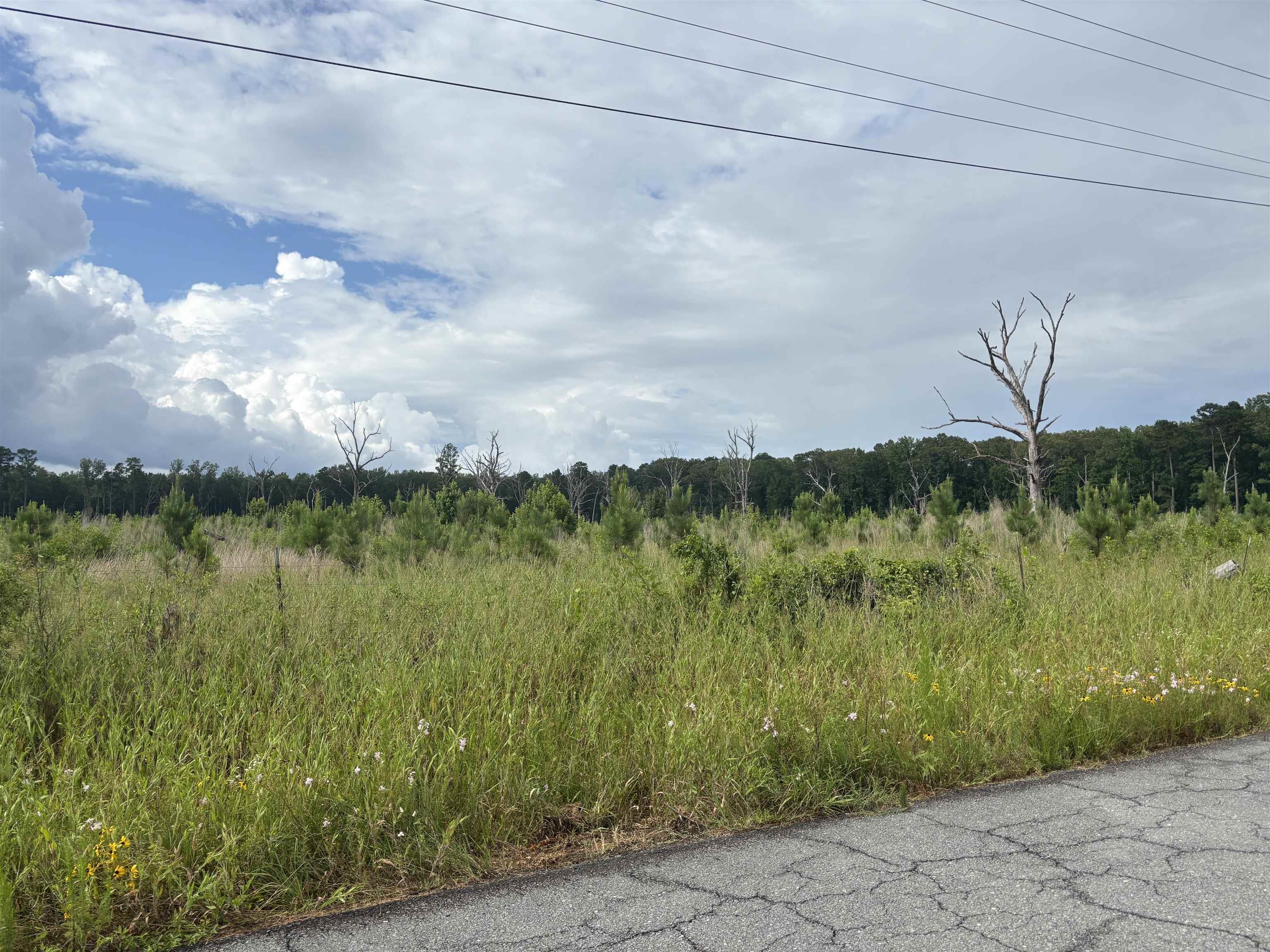  Rosswood Rd.  Pine Bluff, AR