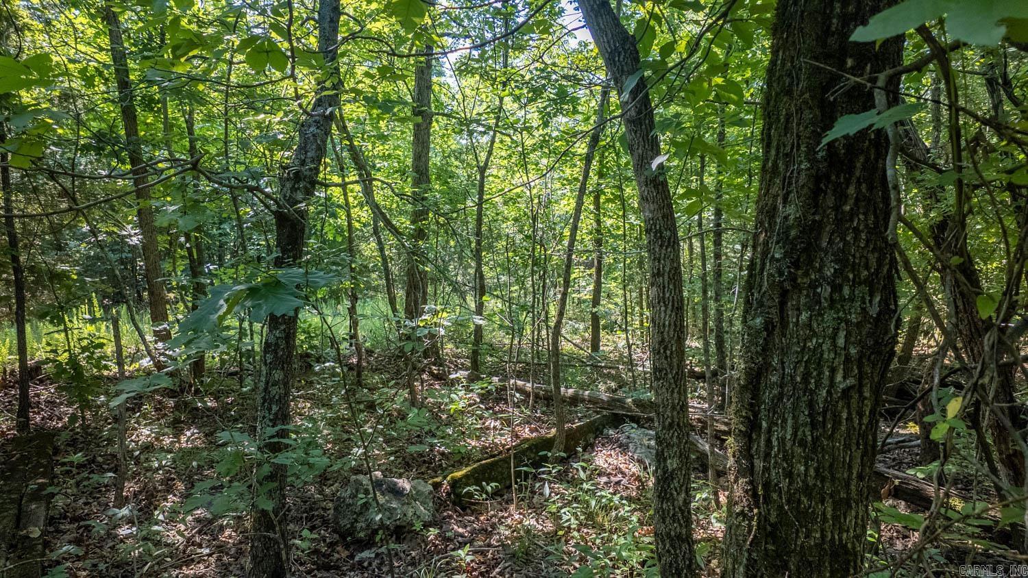 TBD Brown's Creek Road  Ravenden, AR