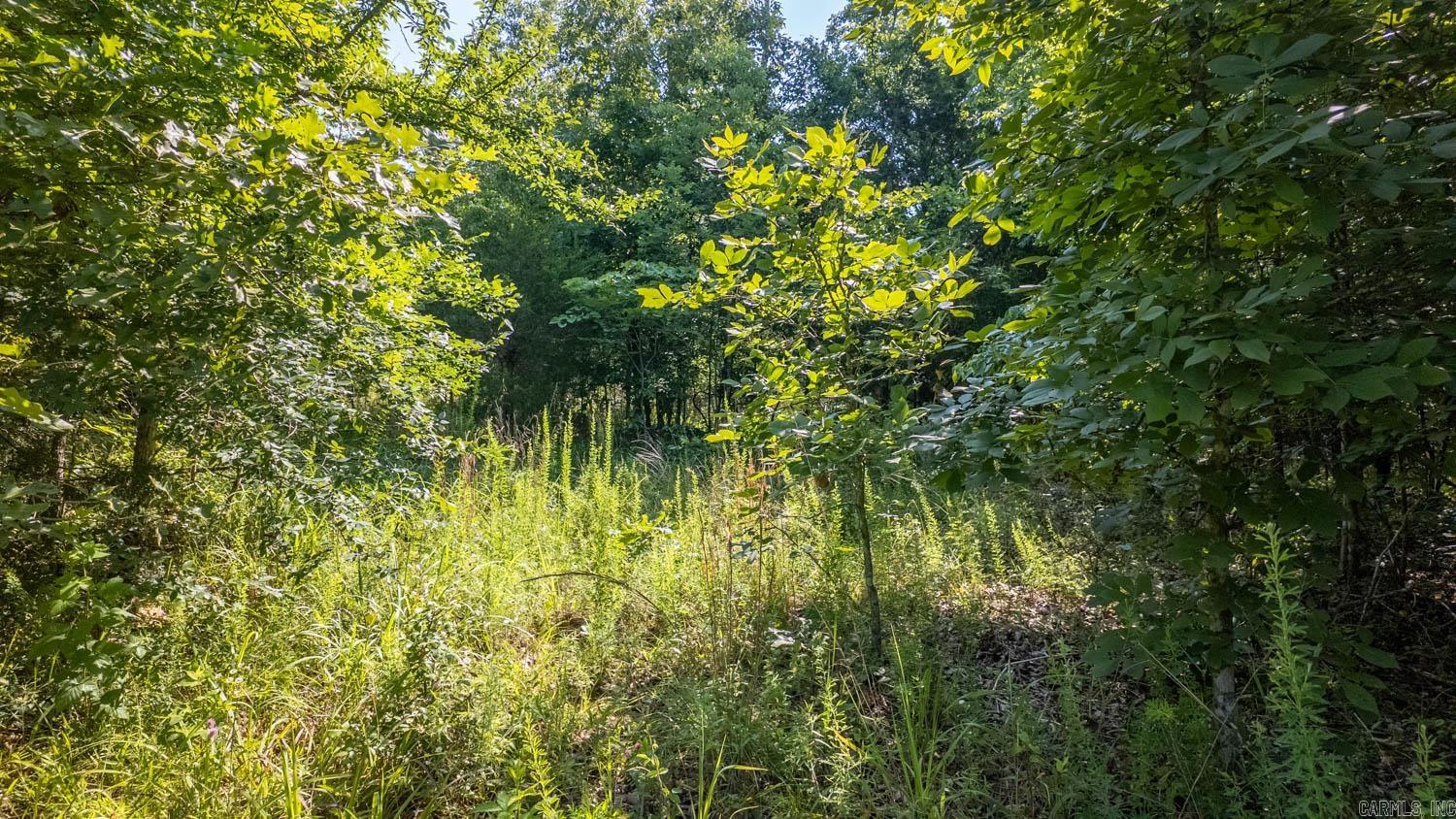 TBD Brown's Creek Road  Ravenden, AR