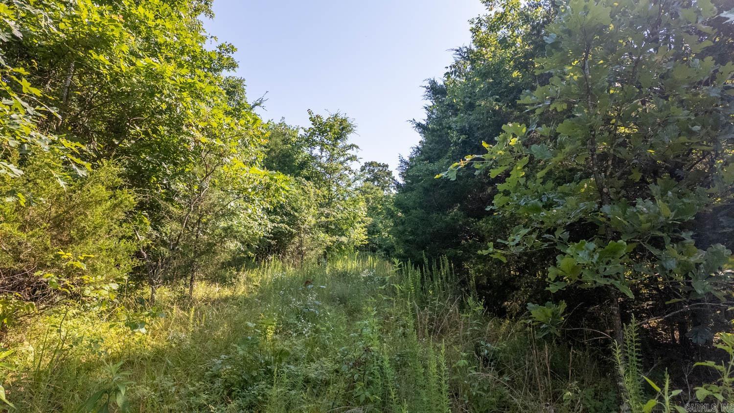 TBD Brown's Creek Road  Ravenden, AR