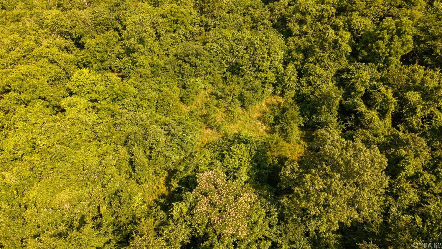 TBD Brown's Creek Road  Ravenden, AR