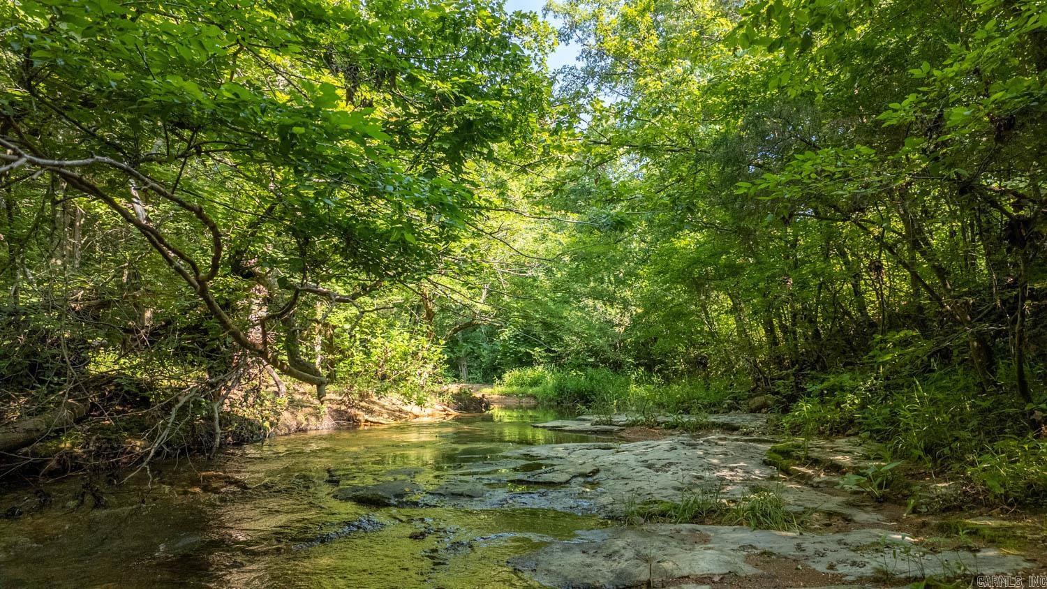 TBD Brown's Creek Road  Ravenden, AR