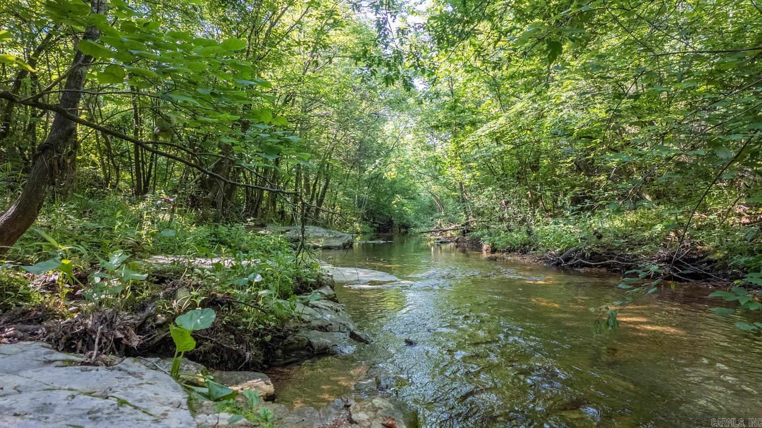 TBD Brown's Creek Road  Ravenden, AR