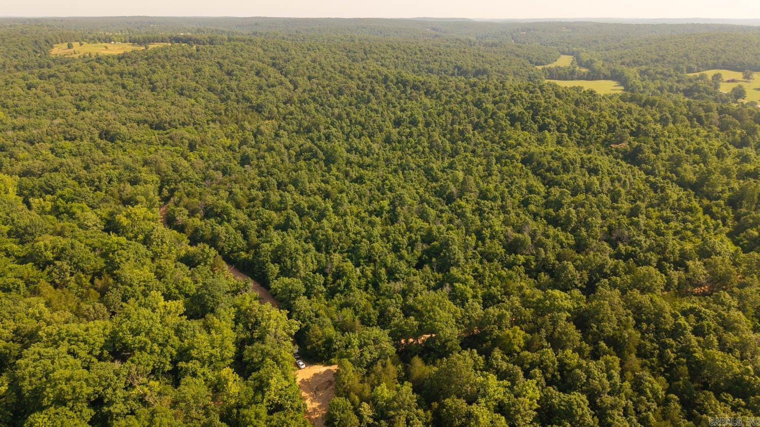TBD Brown's Creek Road  Ravenden, AR