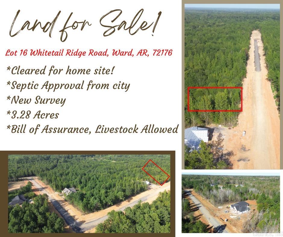 Lot 16 Whitetail Ridge  Ward, AR