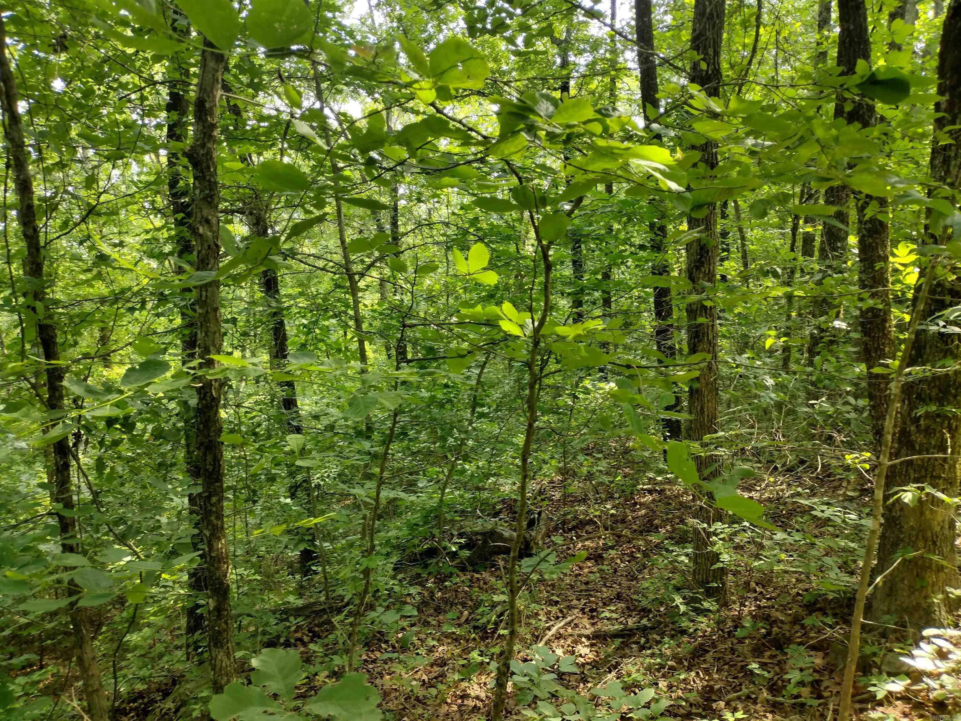 0 Greers Ferry Road  Greers Ferry, AR