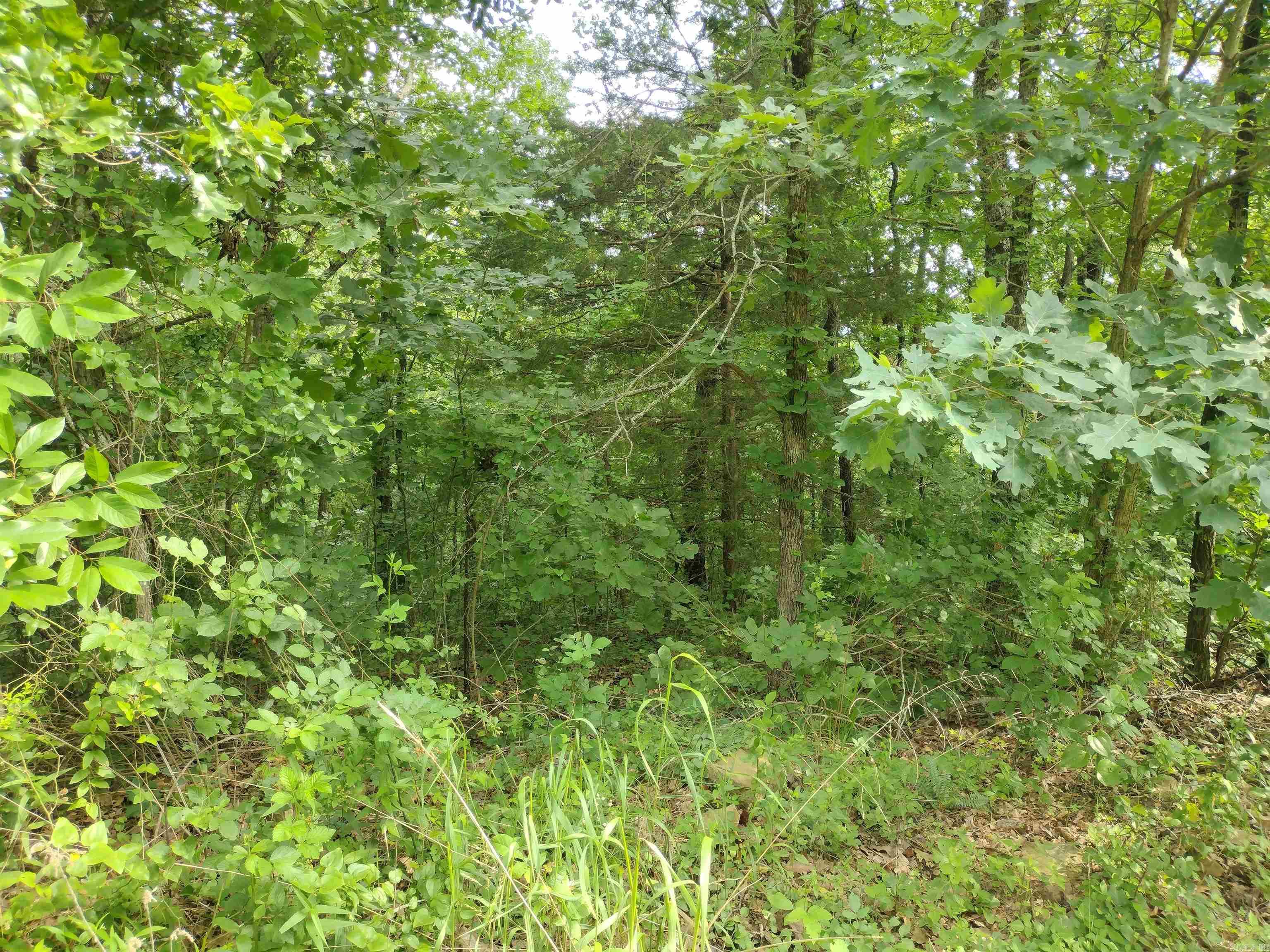0 Greers Ferry Road  Greers Ferry, AR