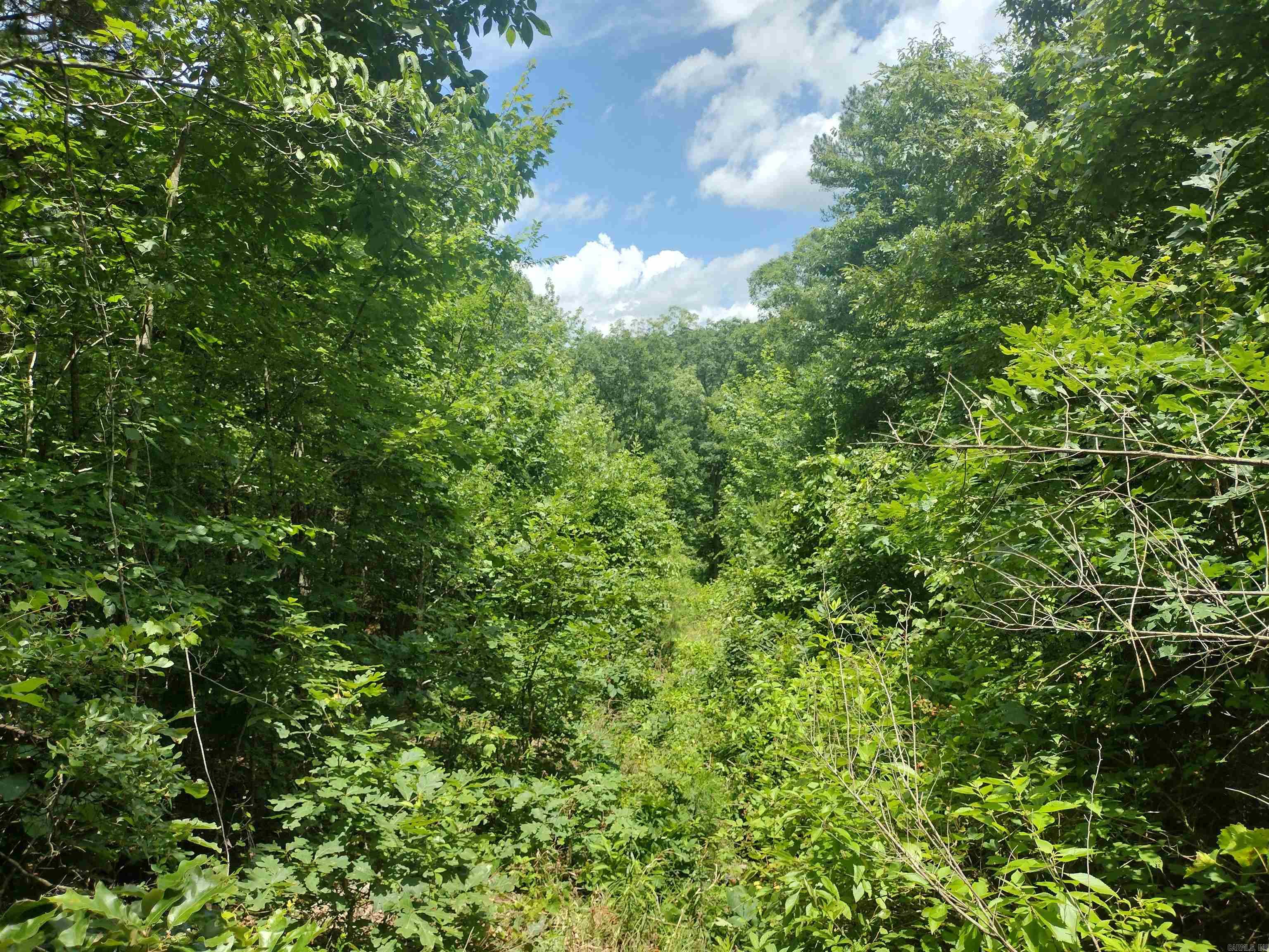 0 Greers Ferry Road  Greers Ferry, AR