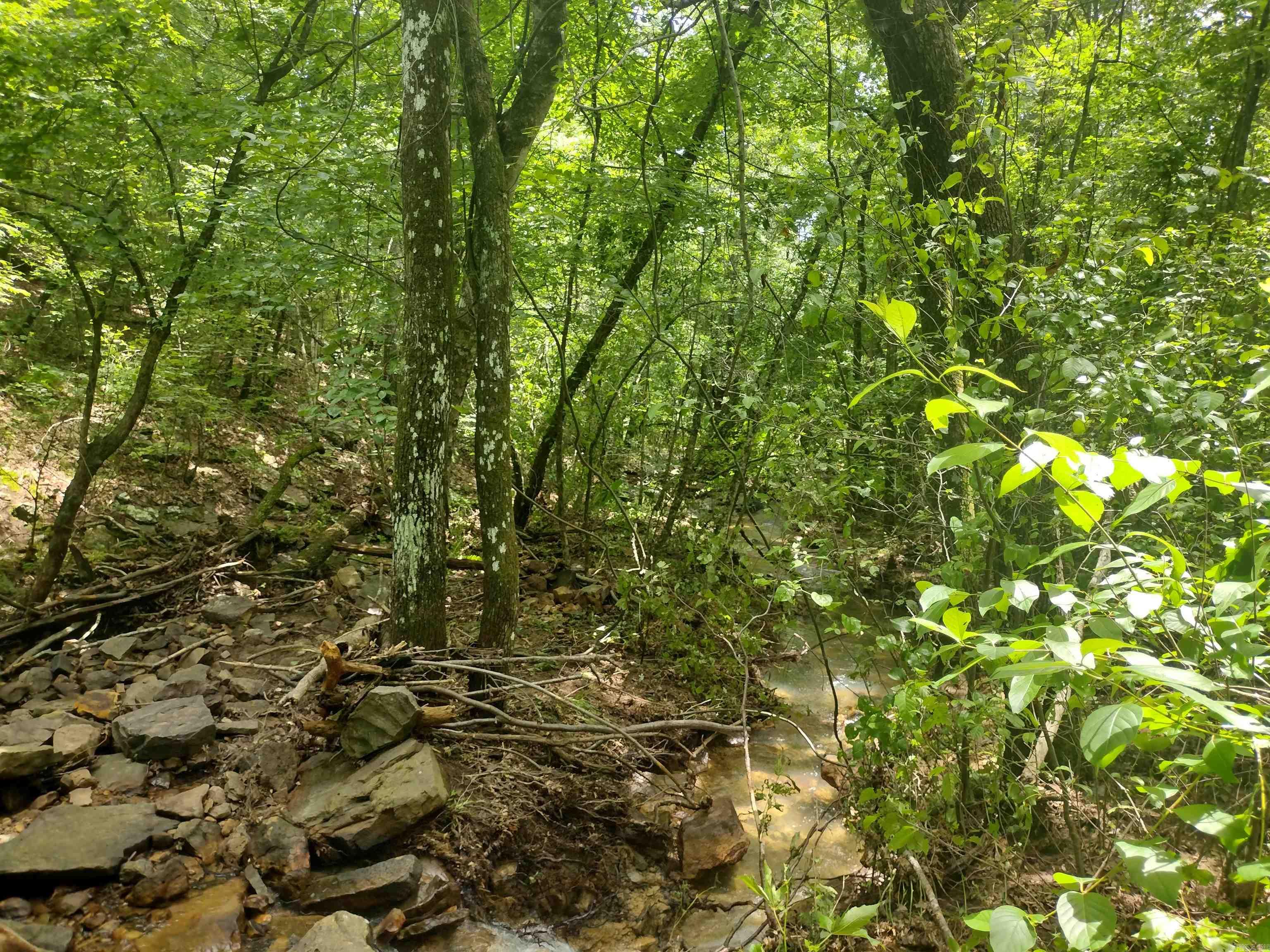0 Greers Ferry Road  Greers Ferry, AR