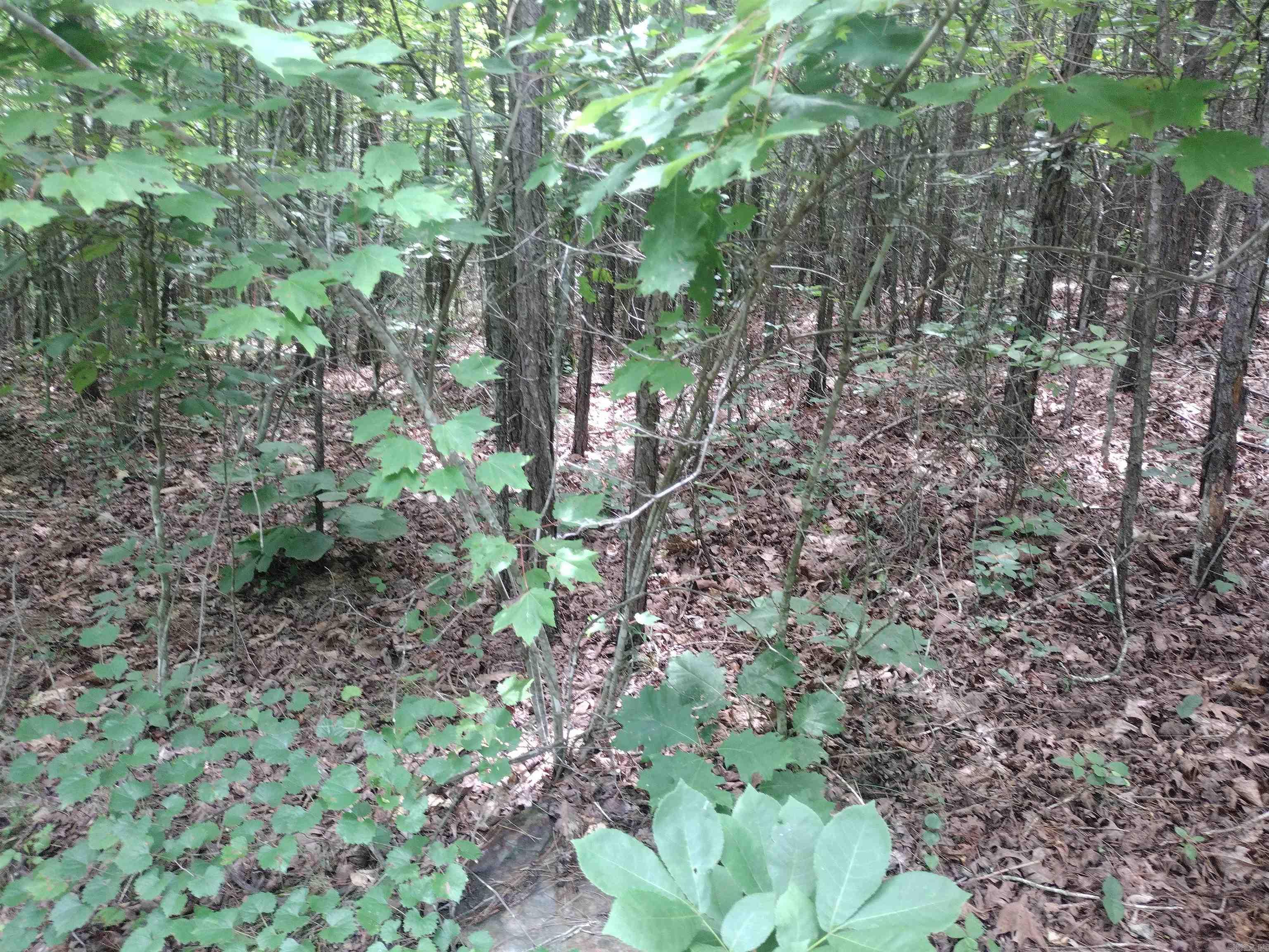 0 Greers Ferry Road  Greers Ferry, AR