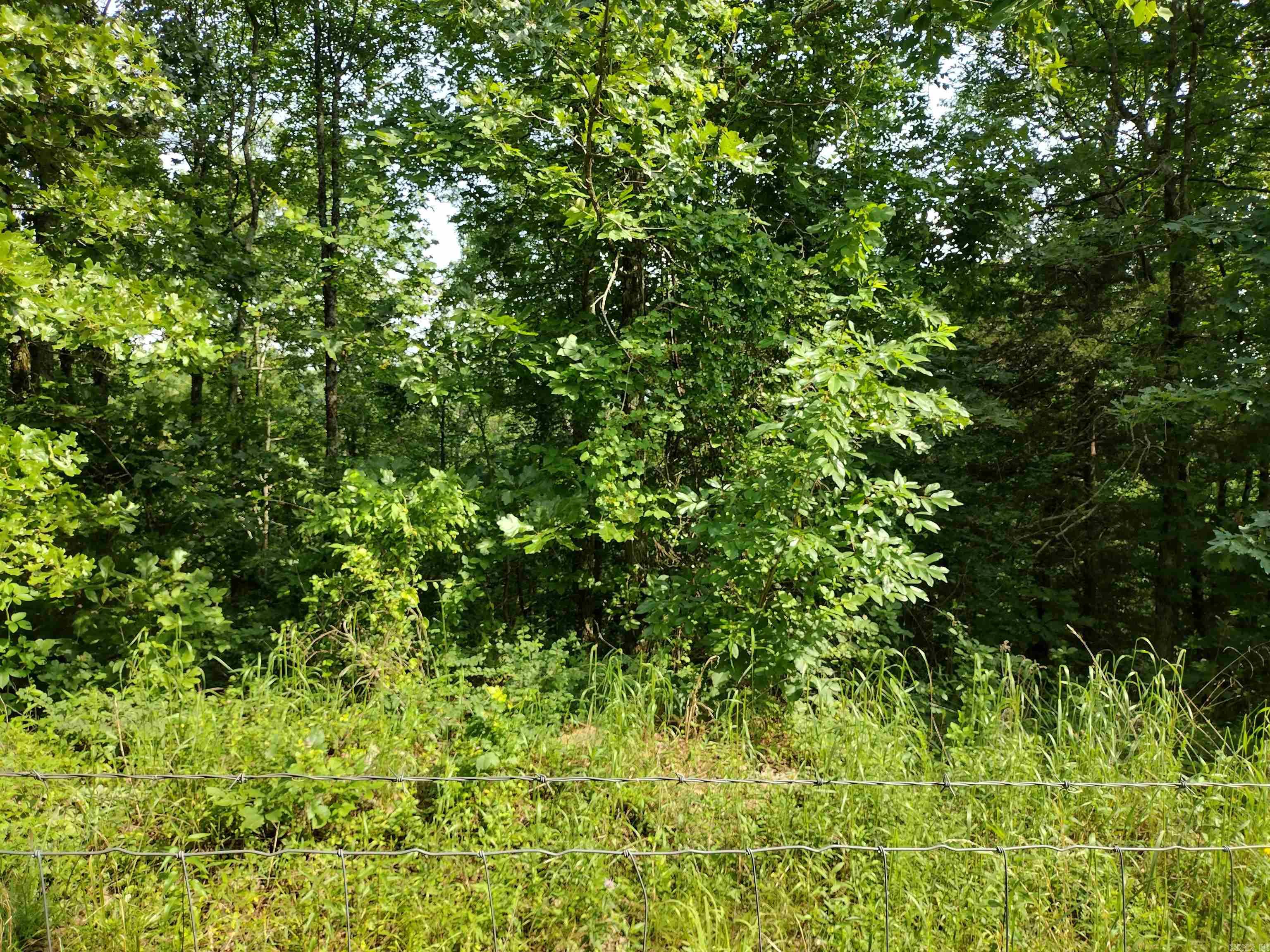 0 Greers Ferry Road  Greers Ferry, AR