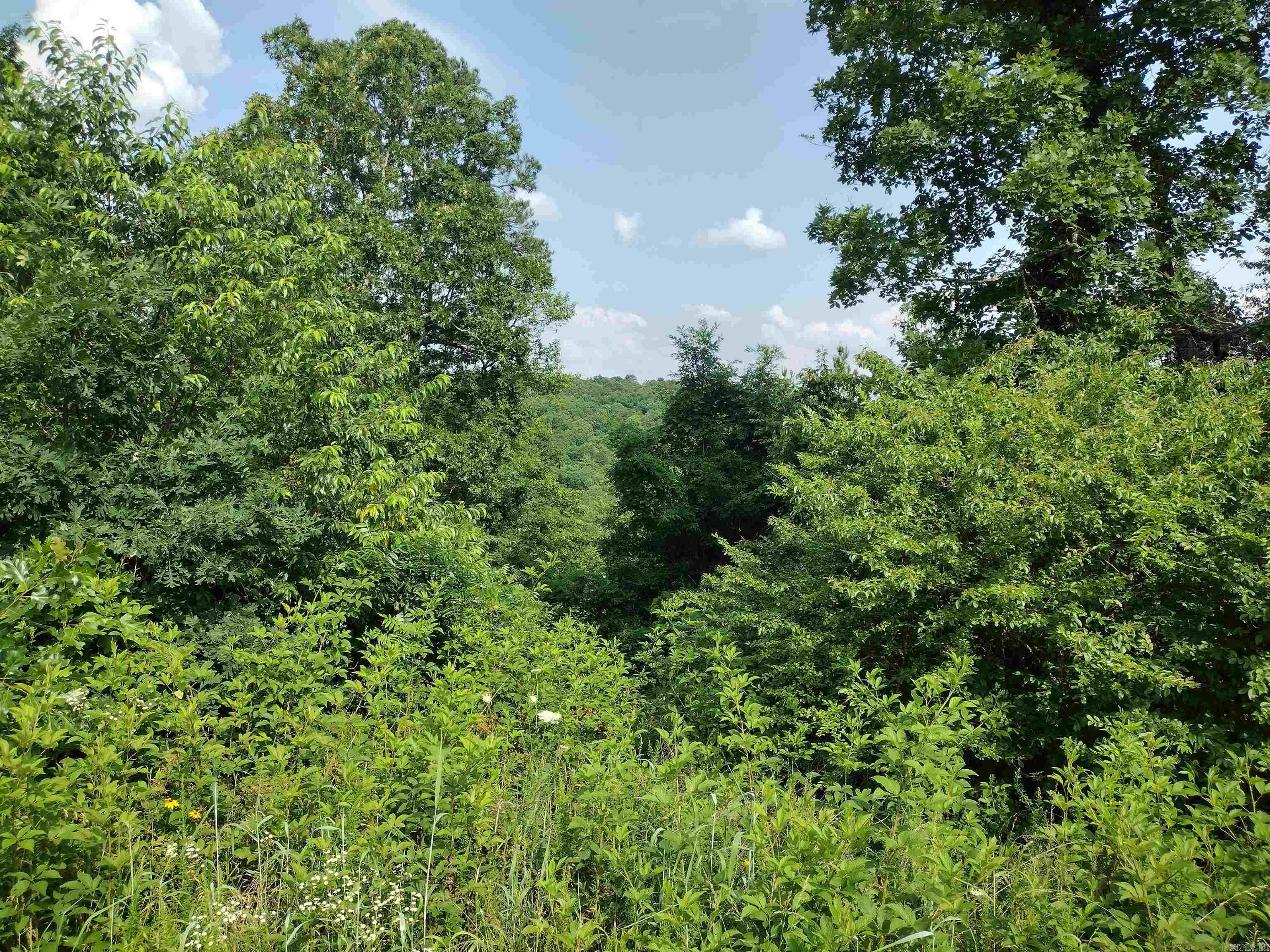 0 Greers Ferry Road  Greers Ferry, AR