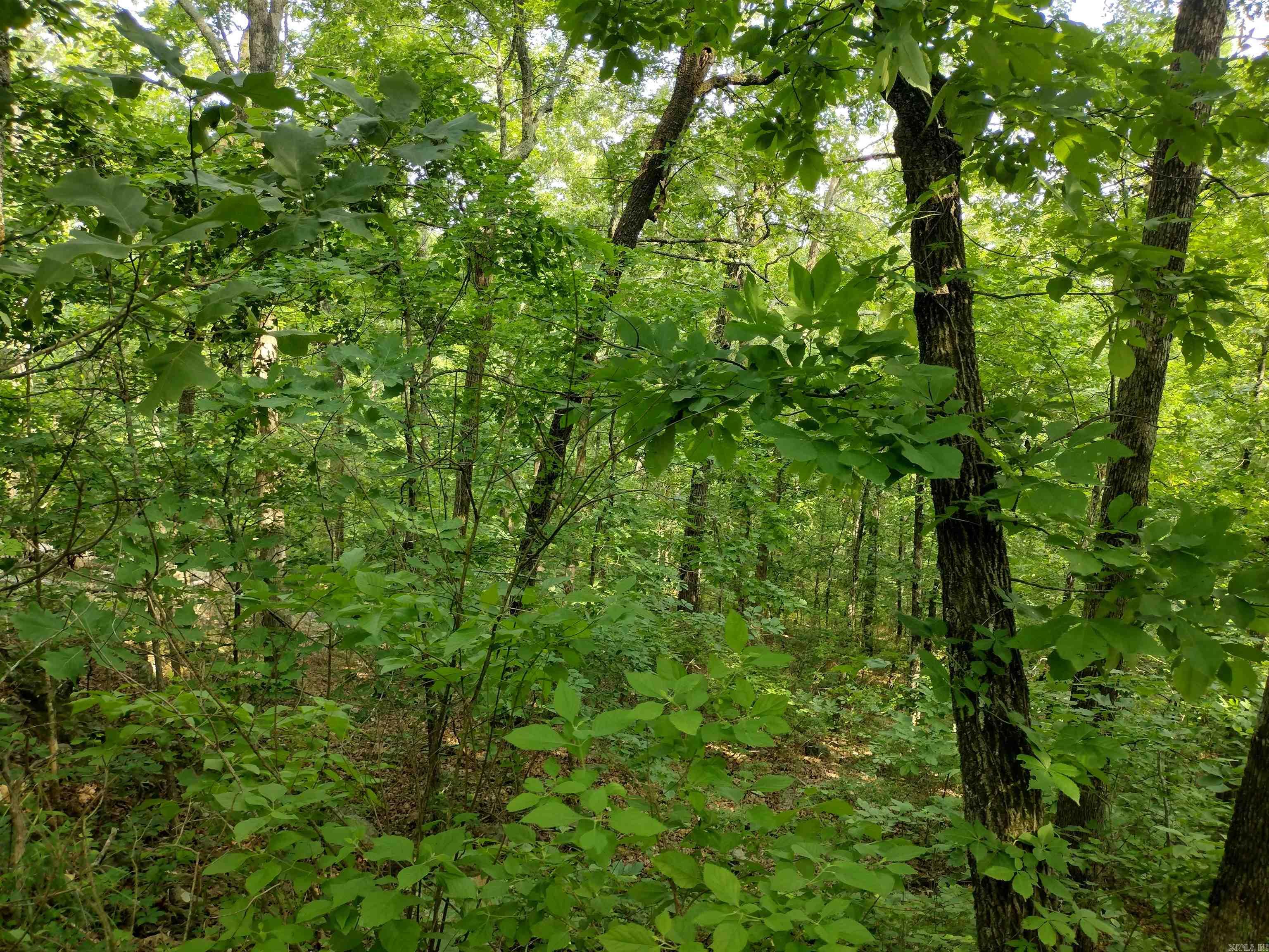 0 Greers Ferry Road  Greers Ferry, AR