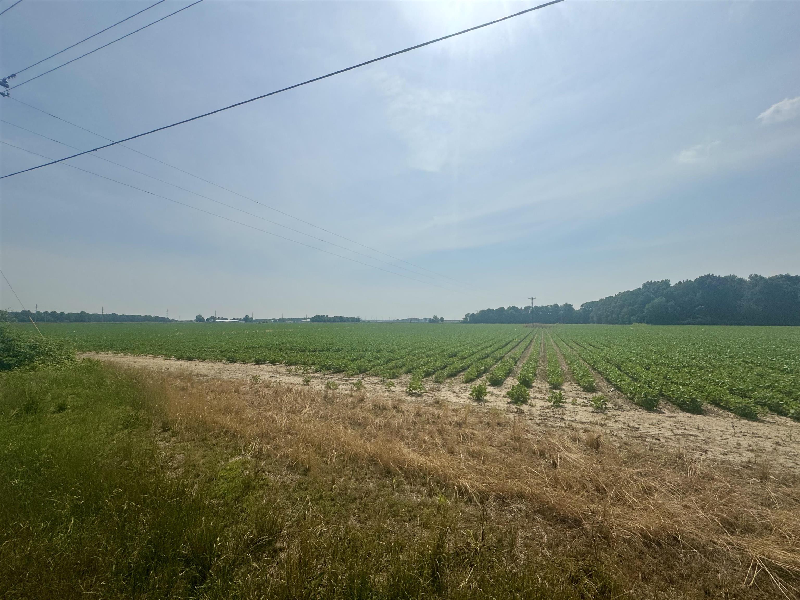 2709 Heath  Jonesboro, AR