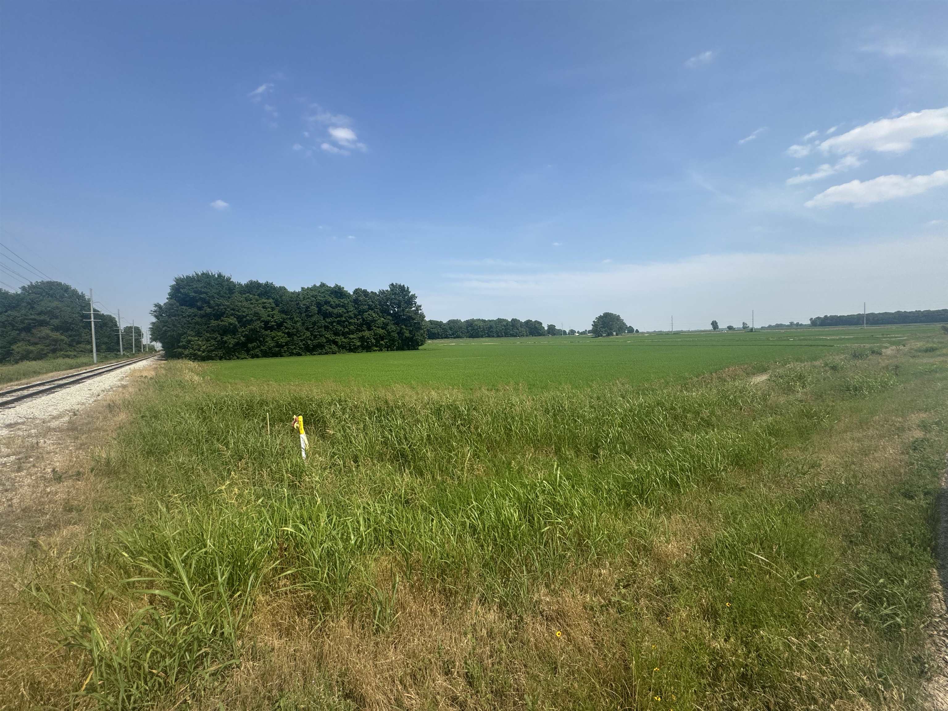 2709 Heath  Jonesboro, AR