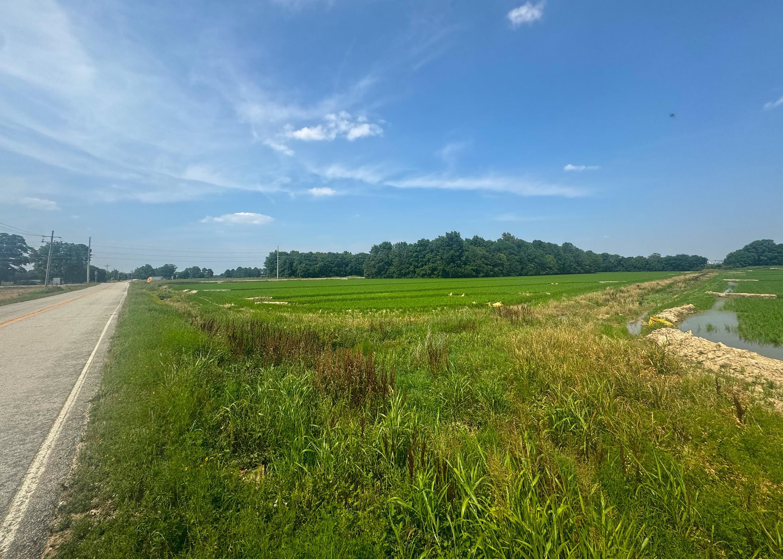 2709 Heath  Jonesboro, AR