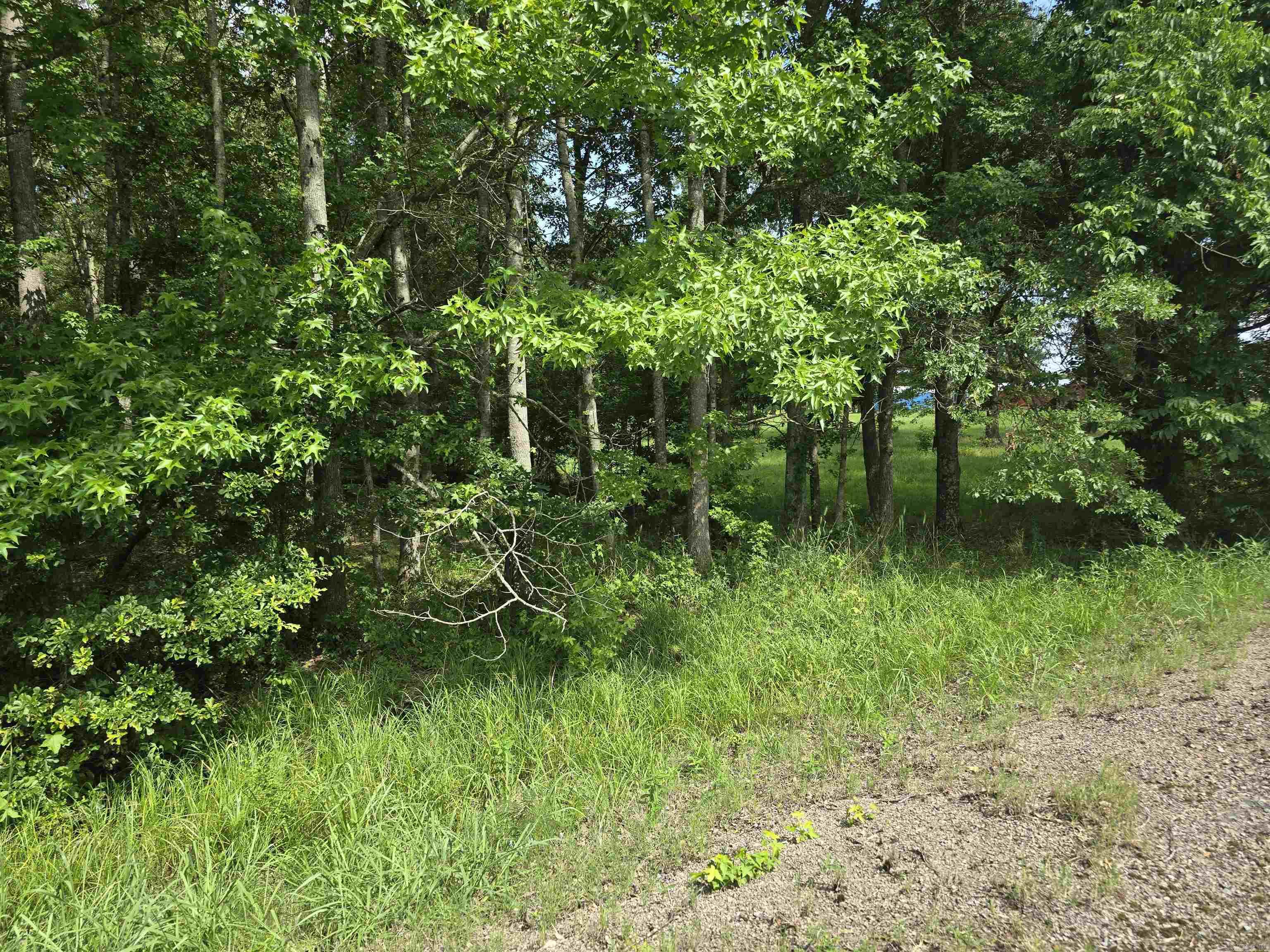 867 S Grand  McRae, AR