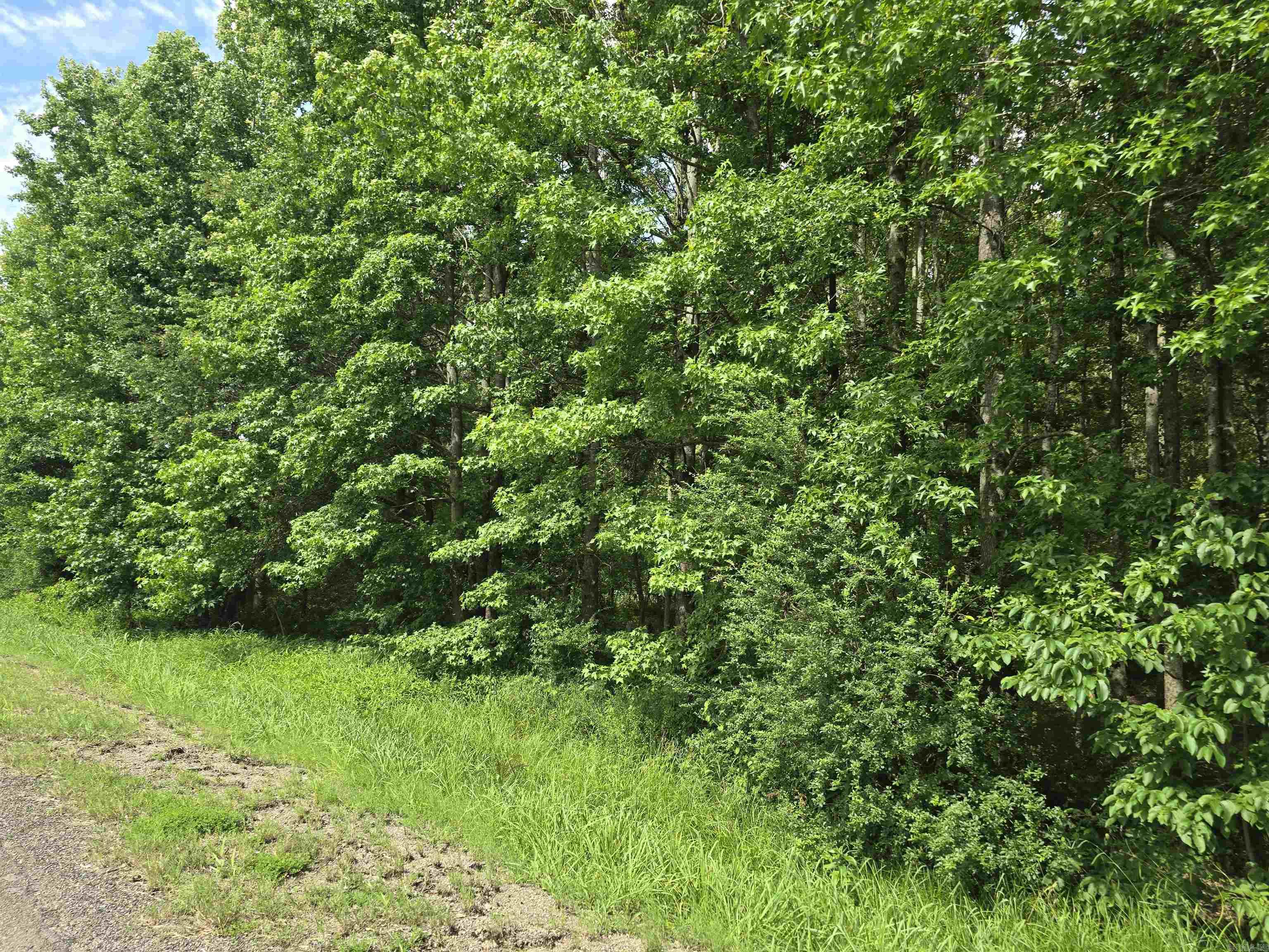 867 S Grand  McRae, AR