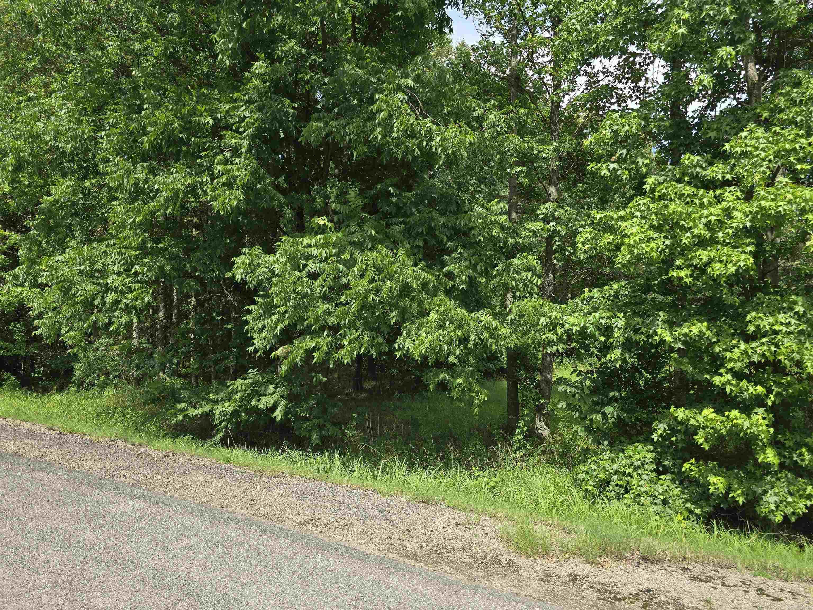 867 S Grand  McRae, AR