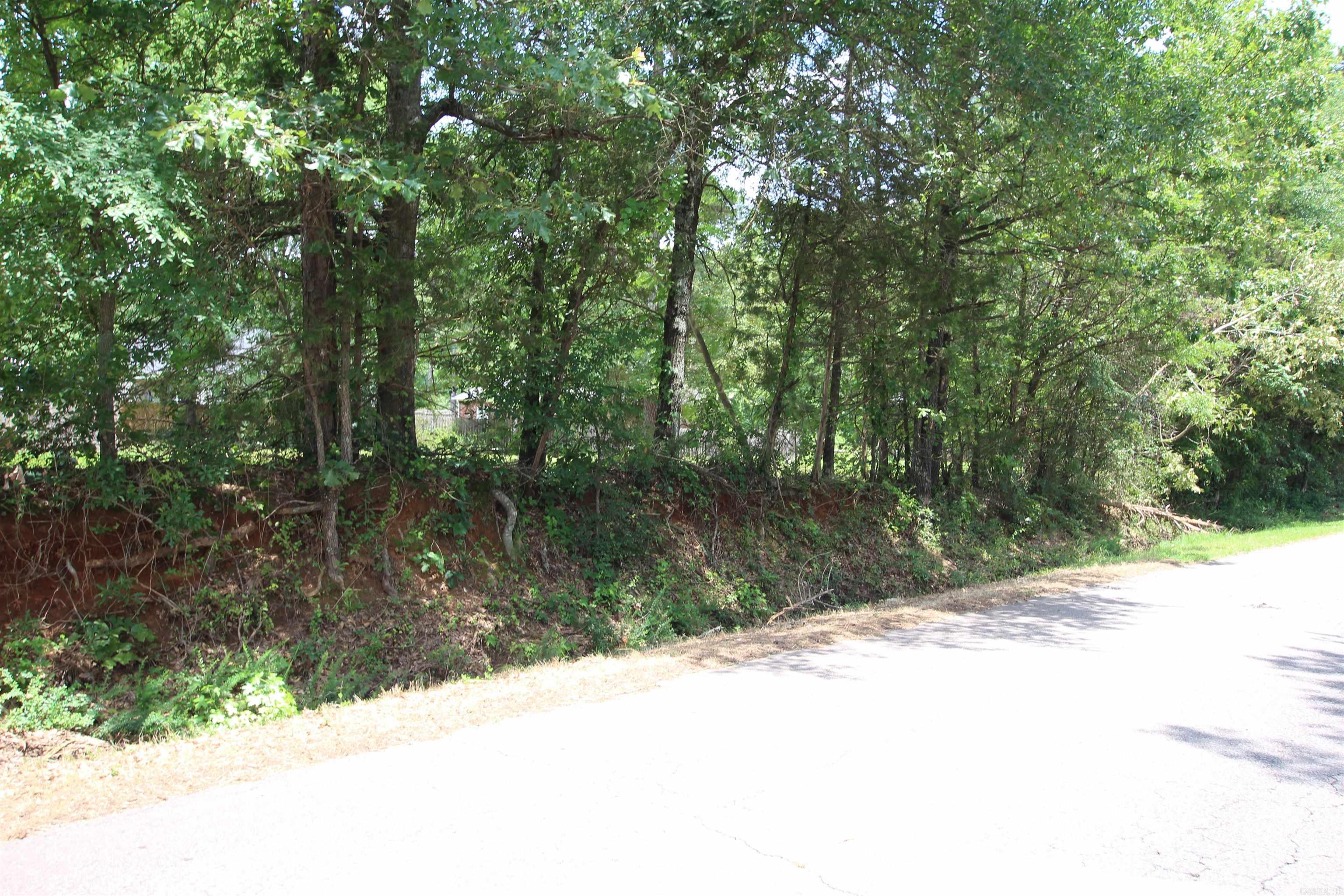 Lot 19 Round Rock  Dover, AR