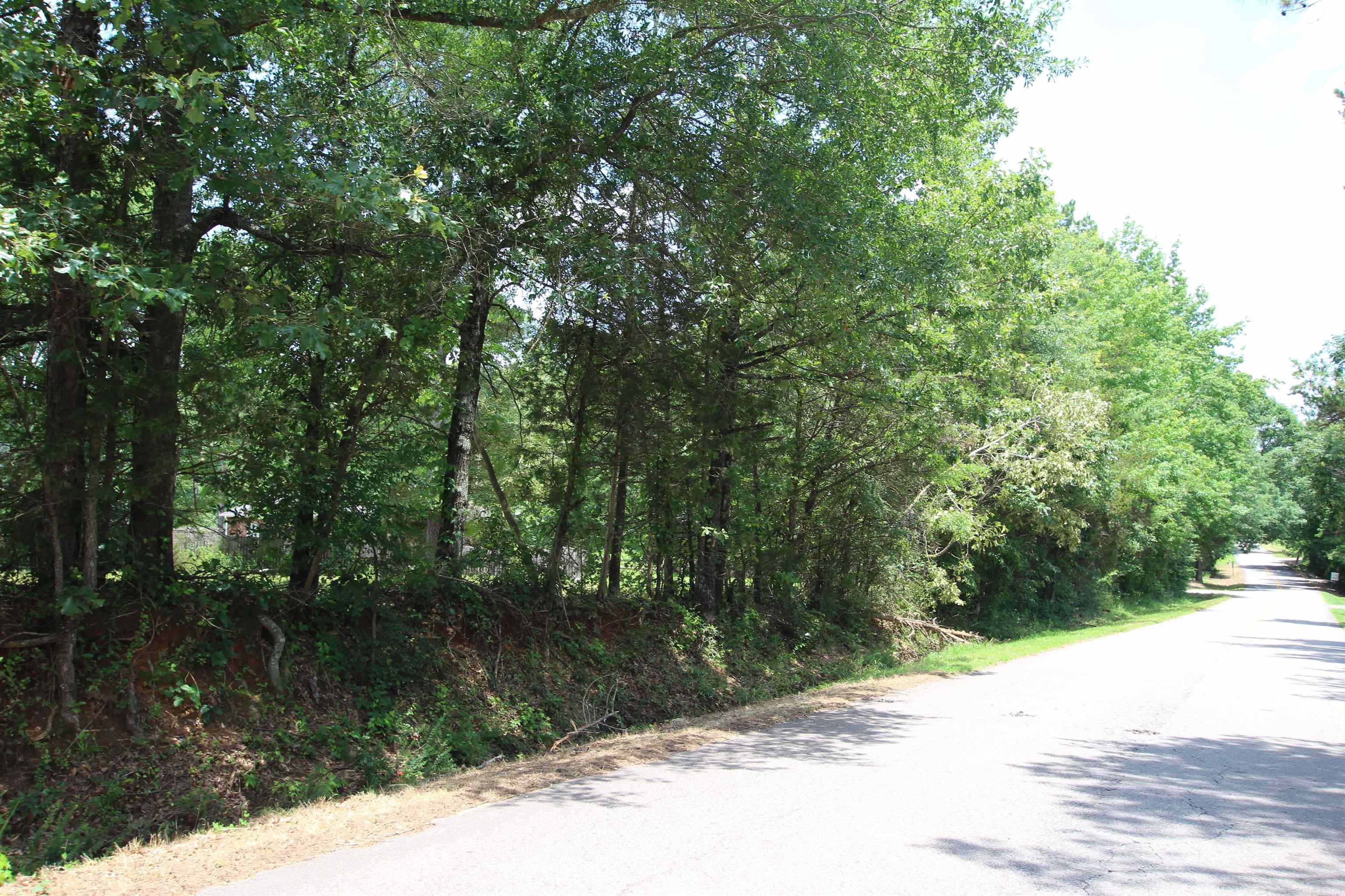 Lot 19 Round Rock  Dover, AR