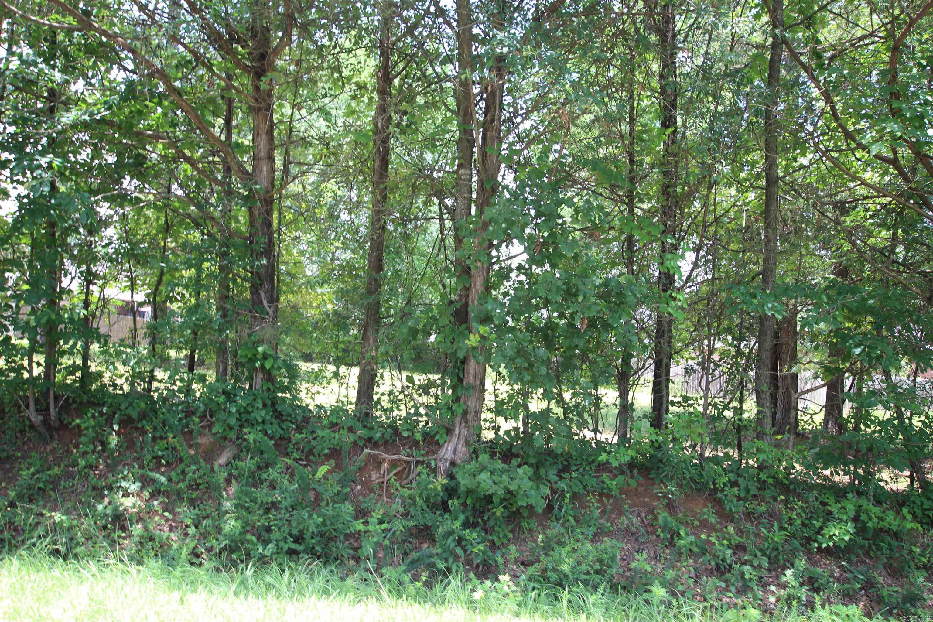 Lot 19 Round Rock  Dover, AR