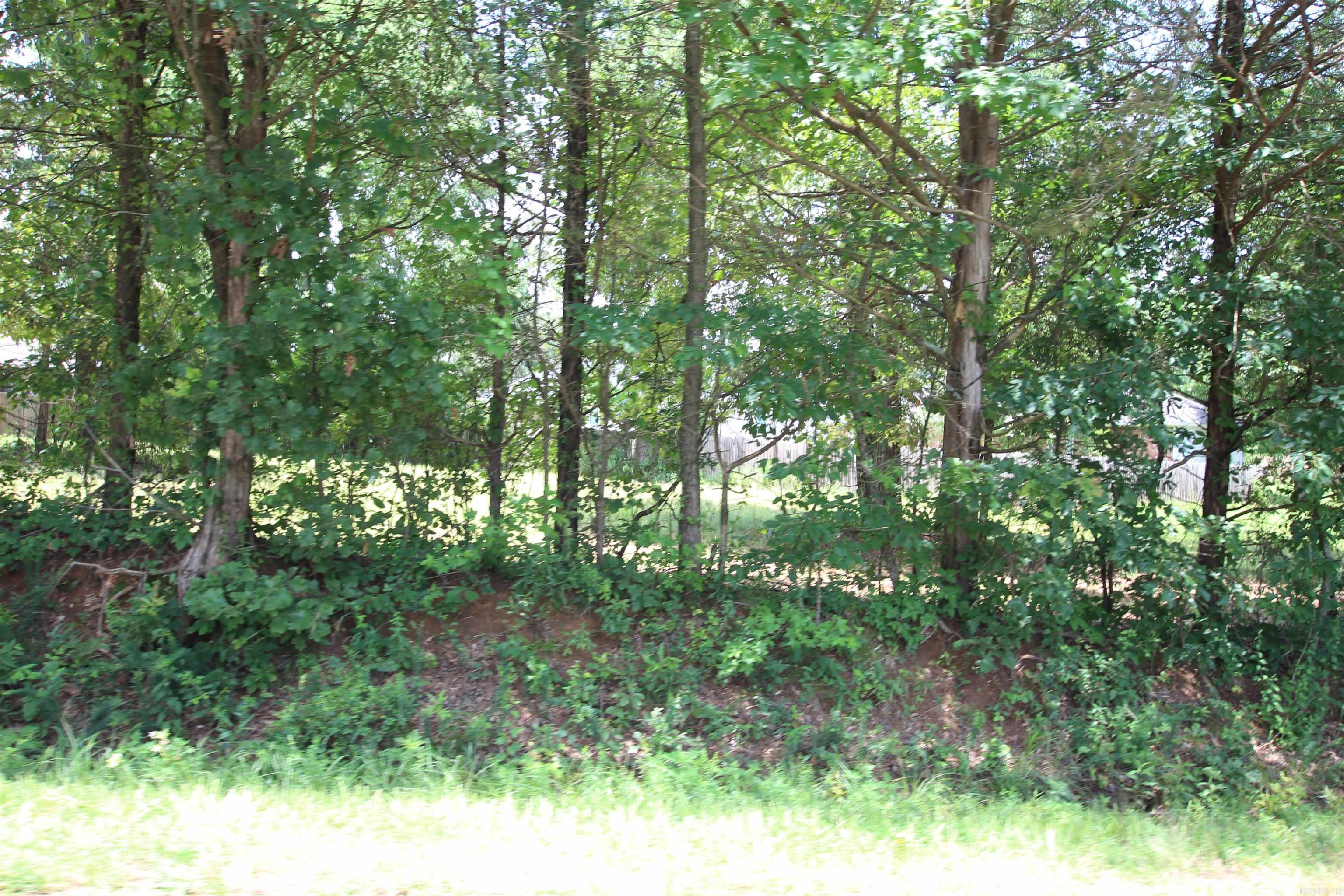Lot 19 Round Rock  Dover, AR