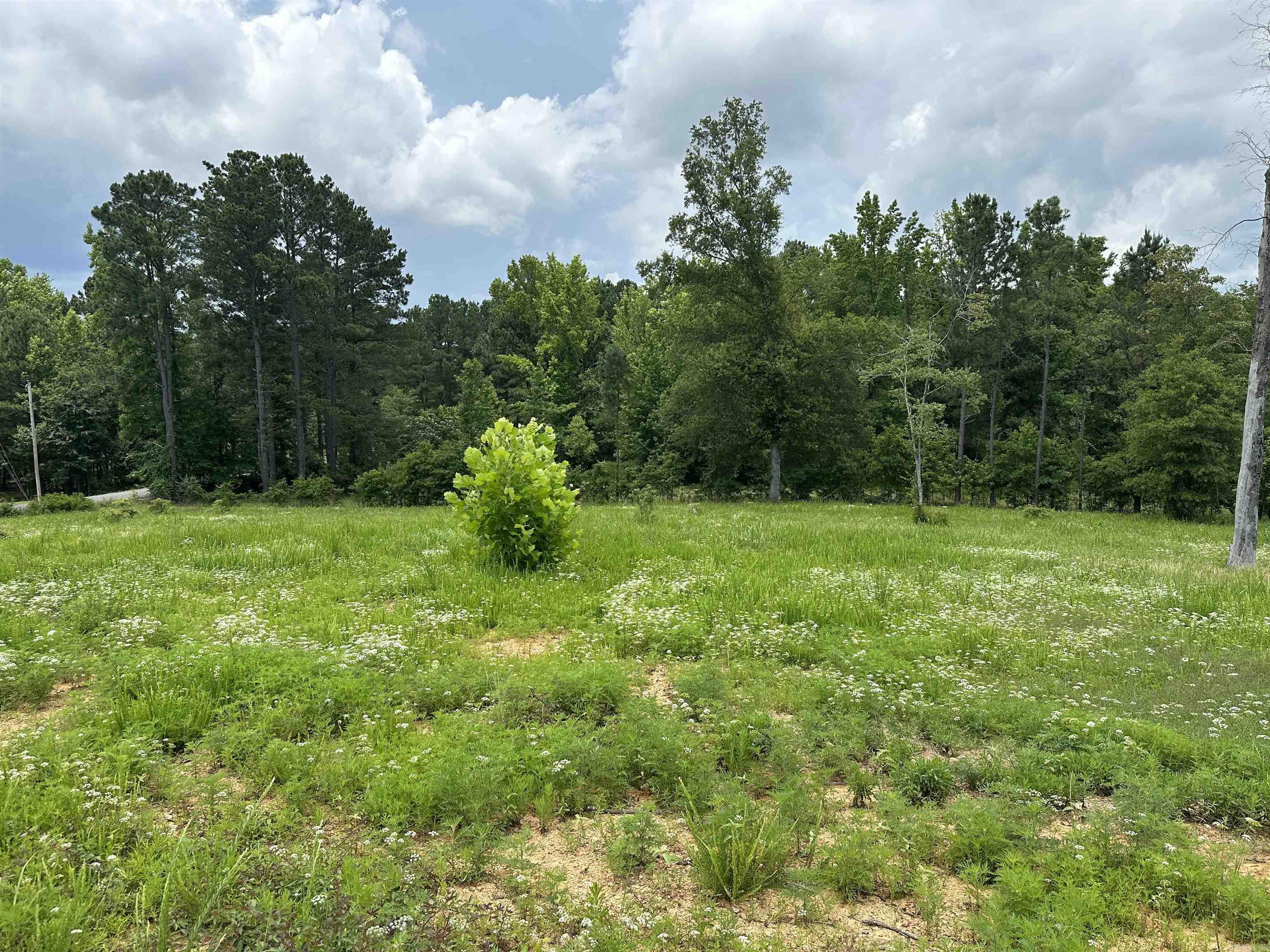 324 Quapaw  Bismarck, AR