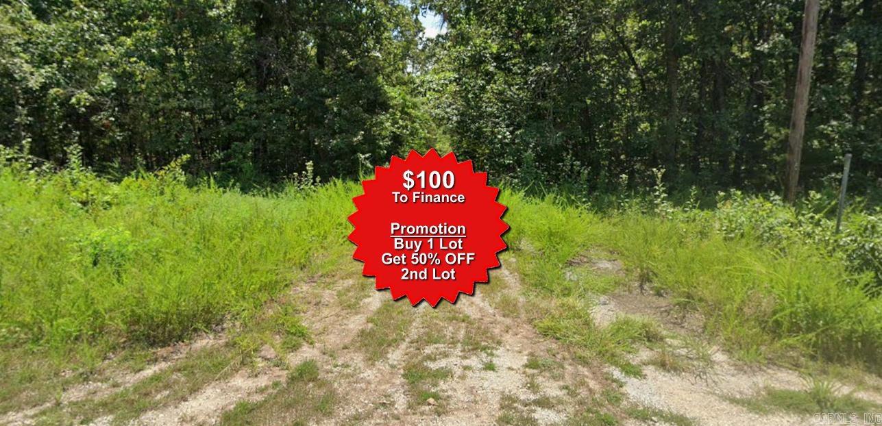 Lot 28 E Bokchito  Cherokee Village, AR