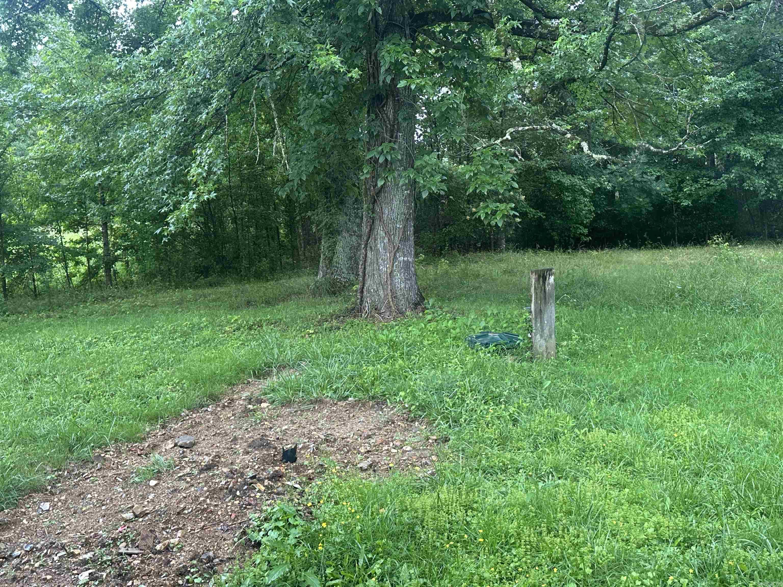 109 Randallwood Drive  Hot Springs Village, AR