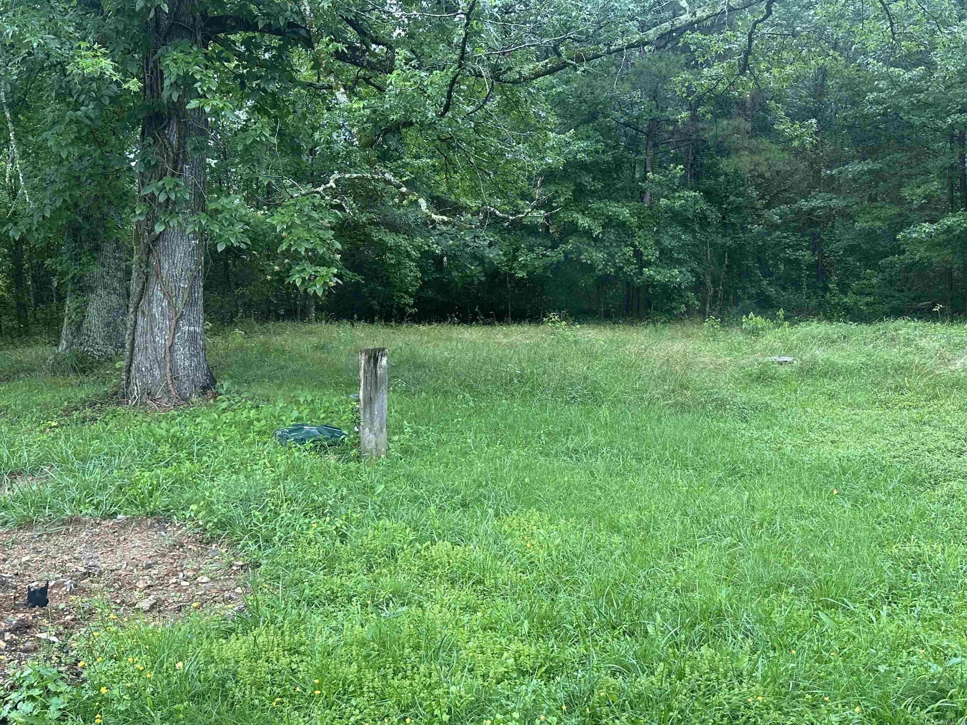 109 Randallwood Drive  Hot Springs Village, AR