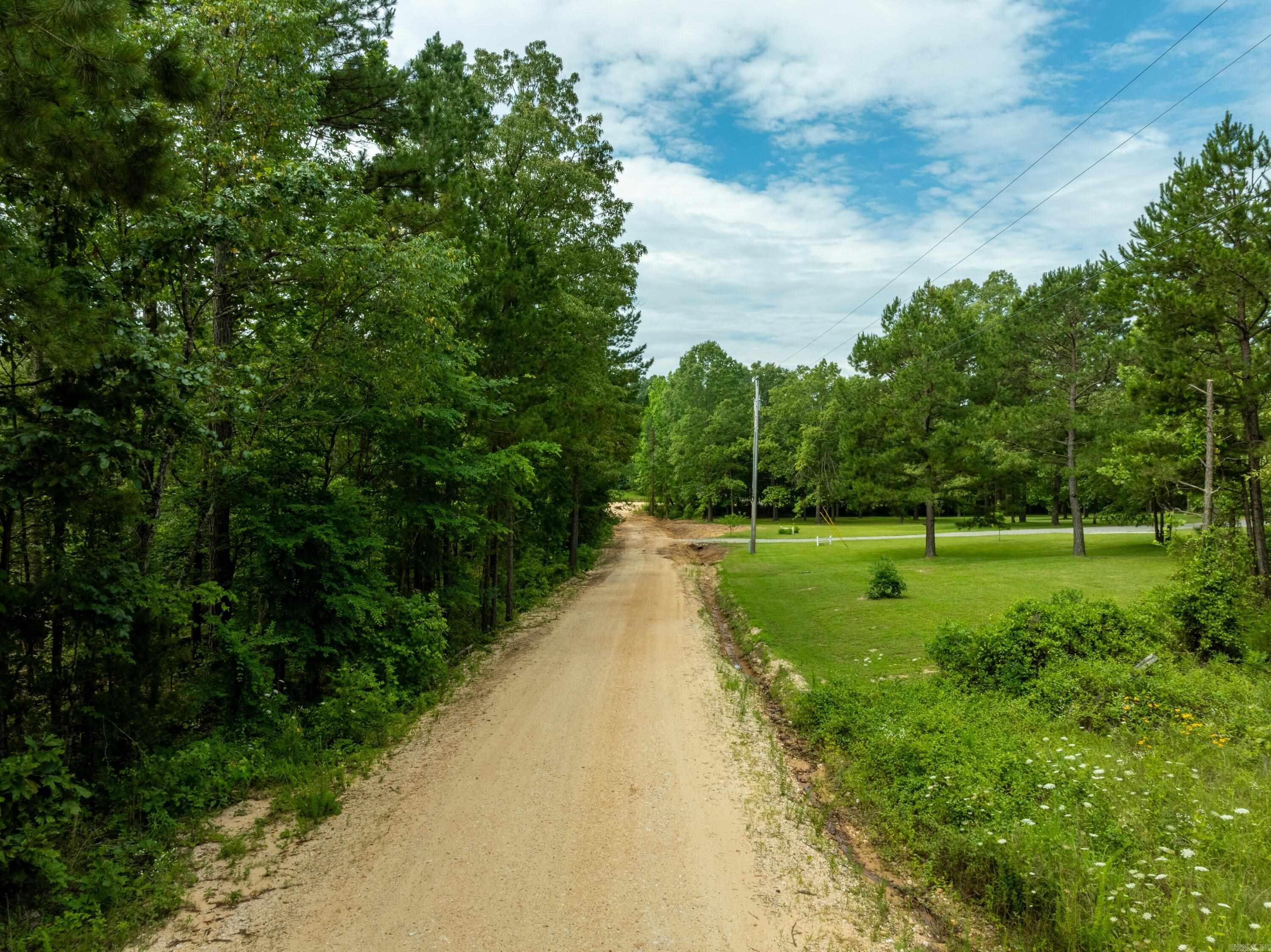 48 Alisa  Melbourne, AR
