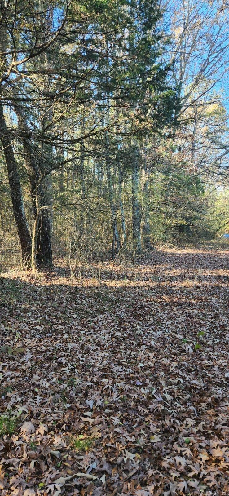  Stanley  Bald Knob, AR