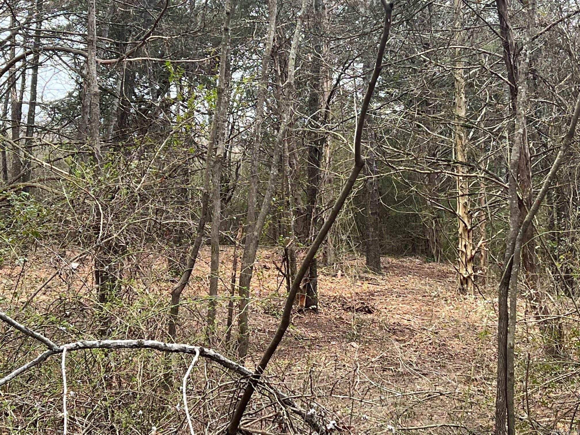 000 Huntington Place  Heber Springs, AR