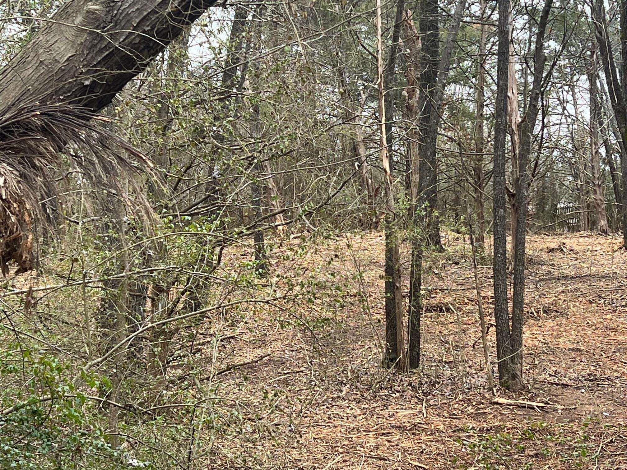 000 Huntington Place  Heber Springs, AR