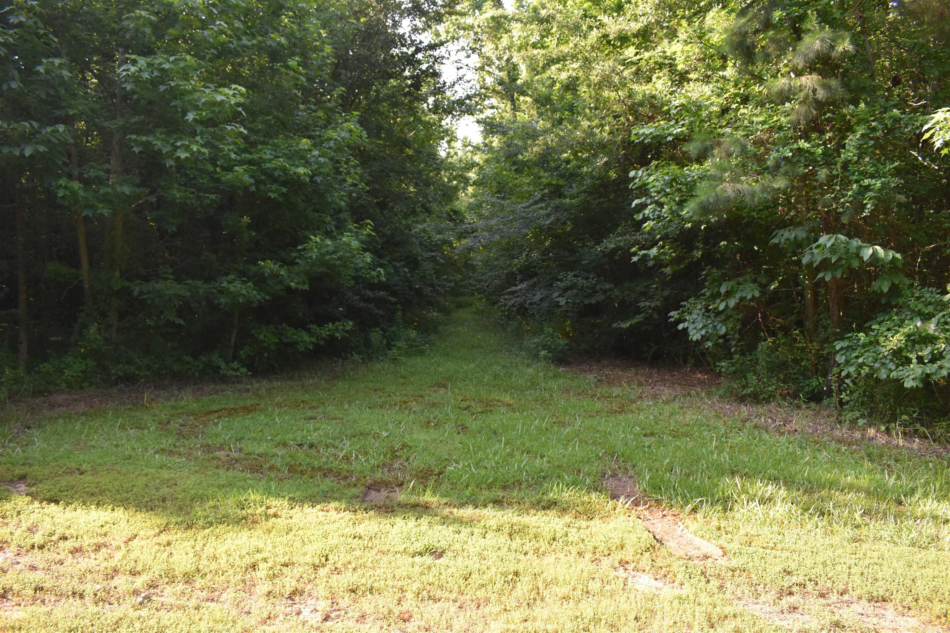 0000 East 12th Street  Danville, AR
