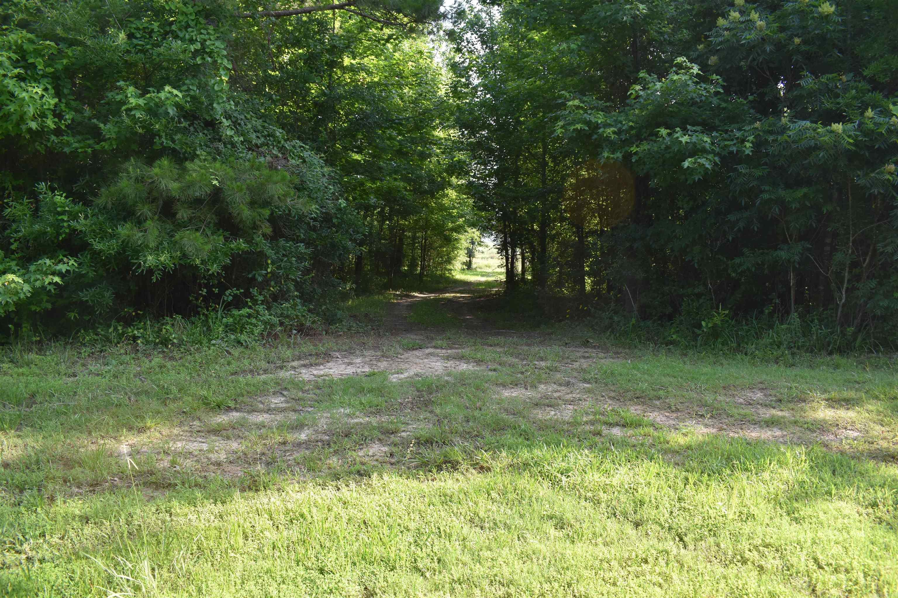 0000 East 12th Street  Danville, AR