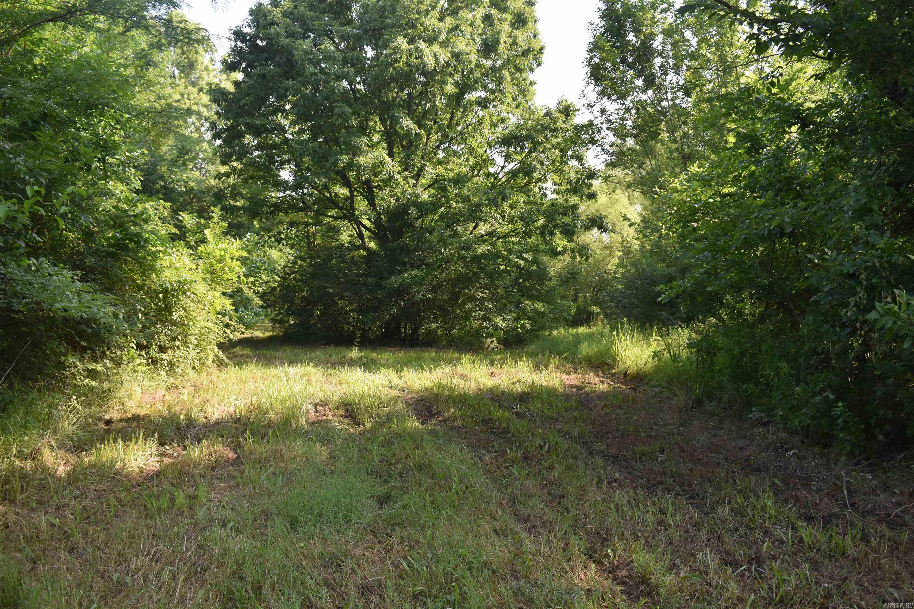 0000 East 12th Street  Danville, AR