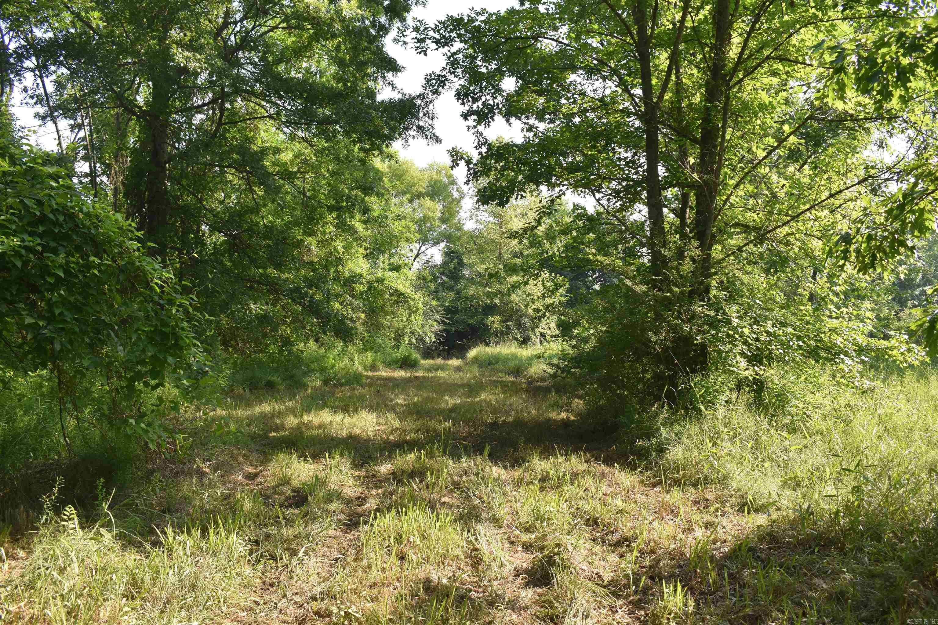0000 East 12th Street  Danville, AR