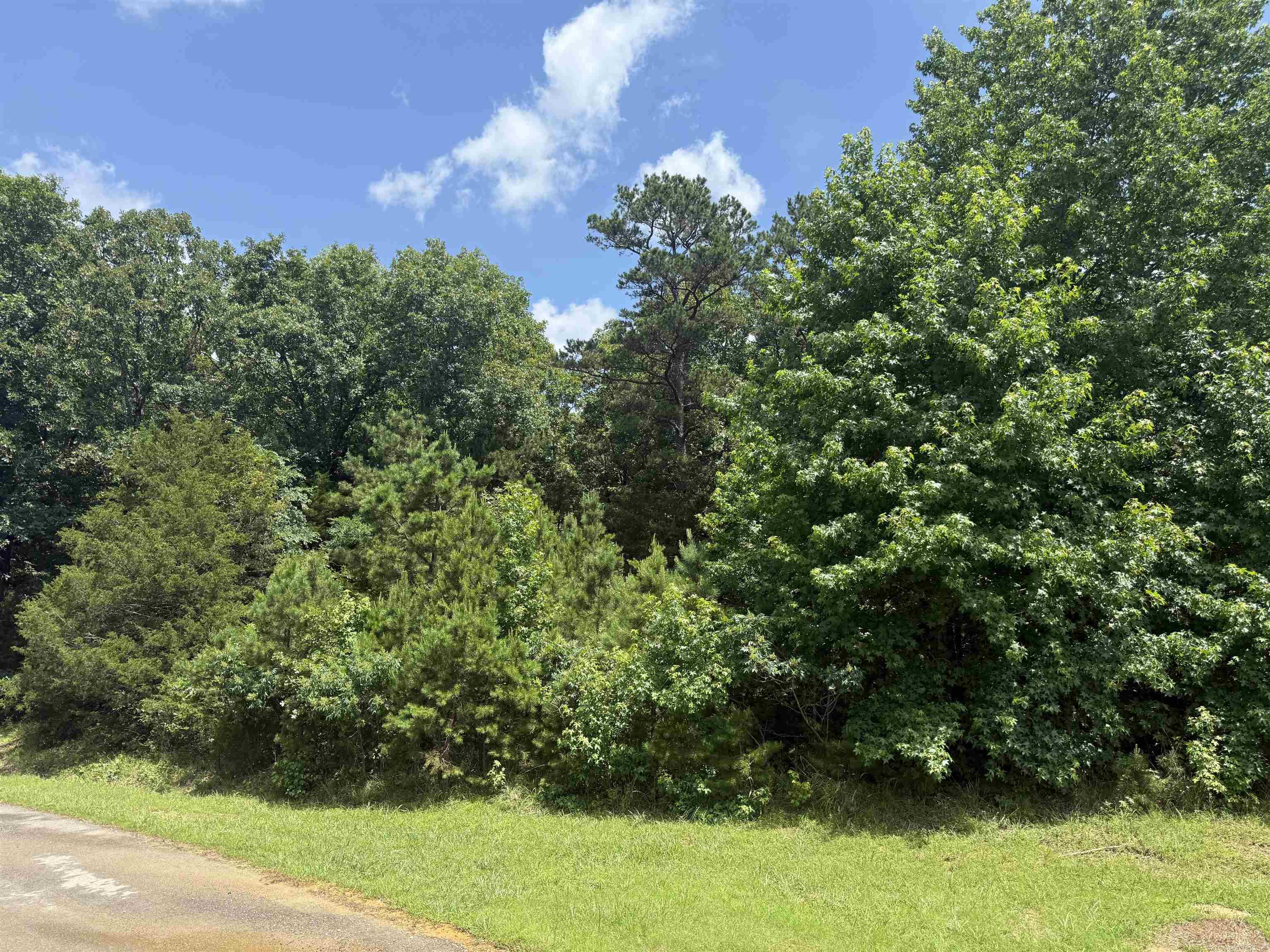 000 Deer Run  Heber Springs, AR