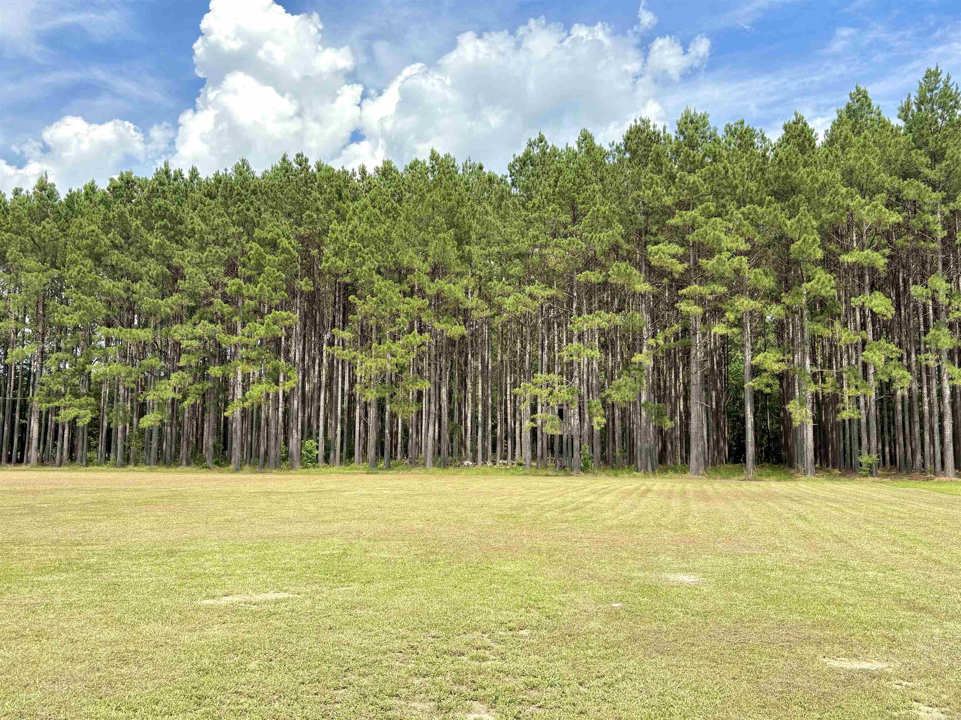 110 County Rd 7488  Sheridan, AR